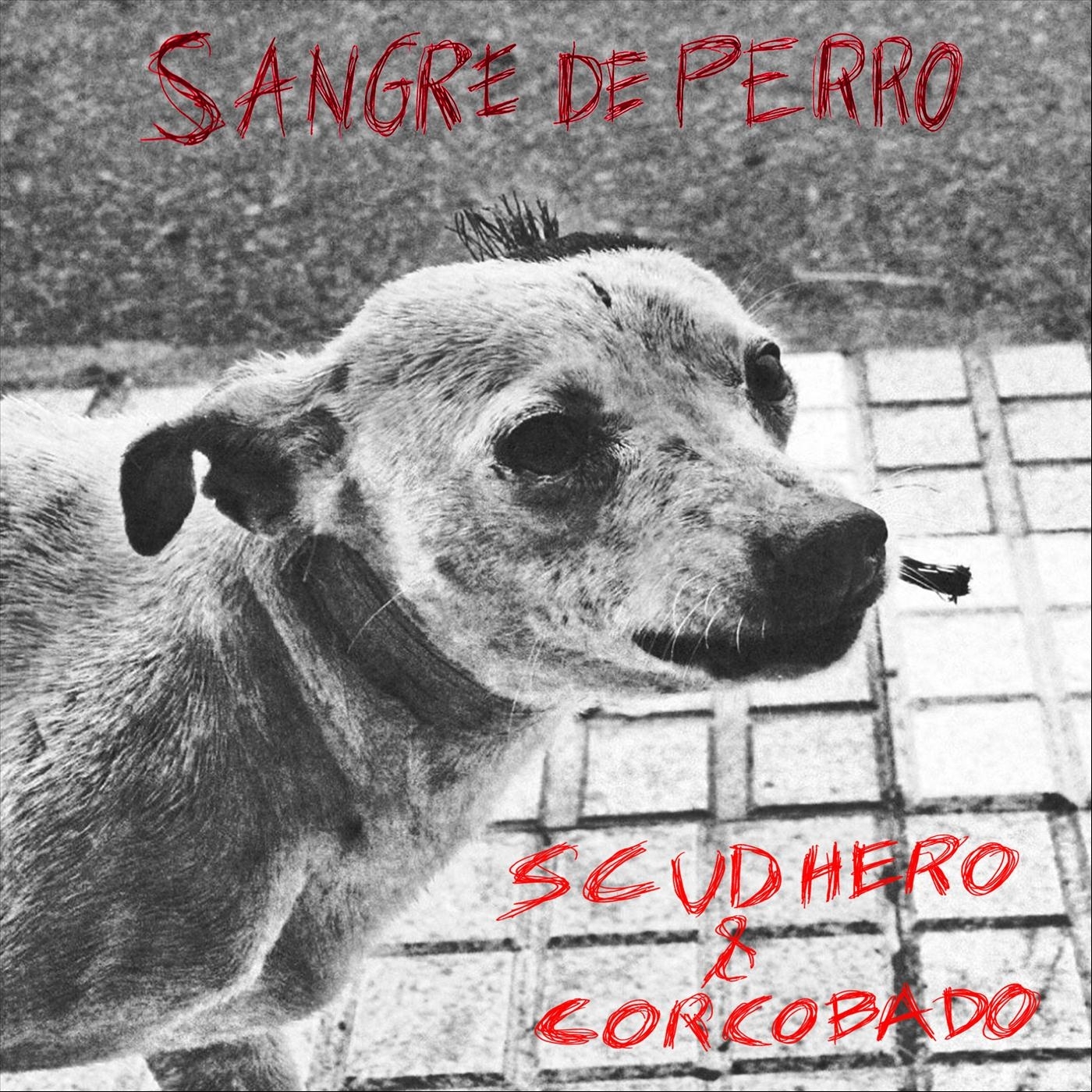 Sangre de Perro