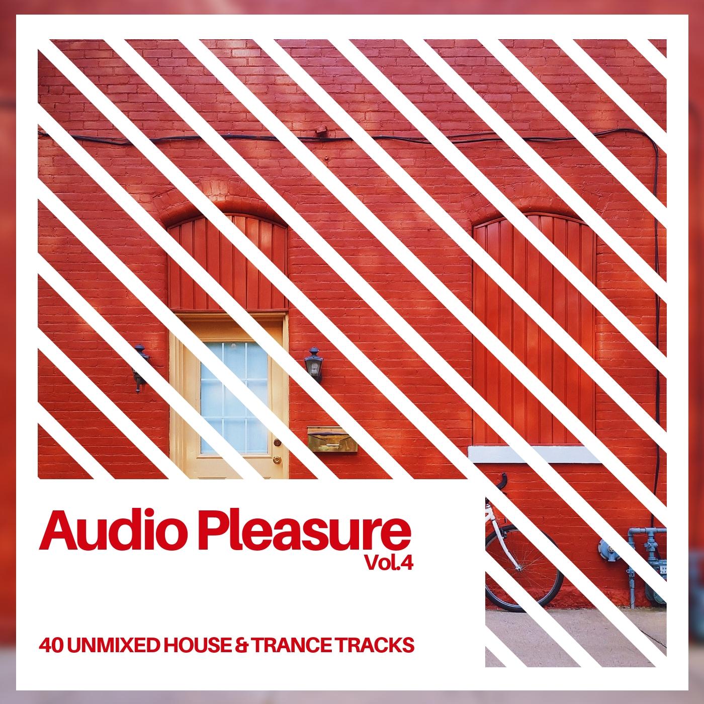 Audio Pleasure Vol.4