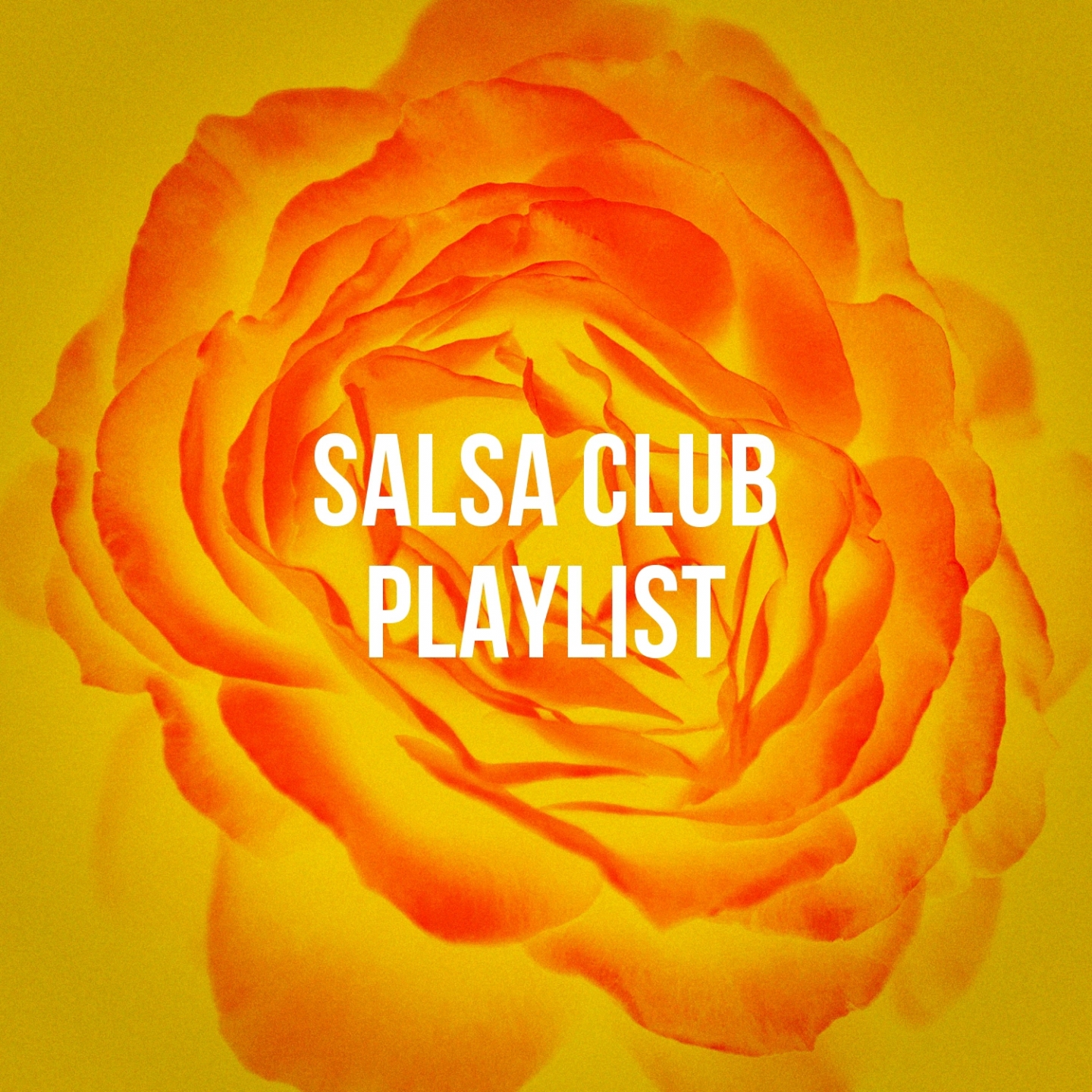 Salsa Club Playlist