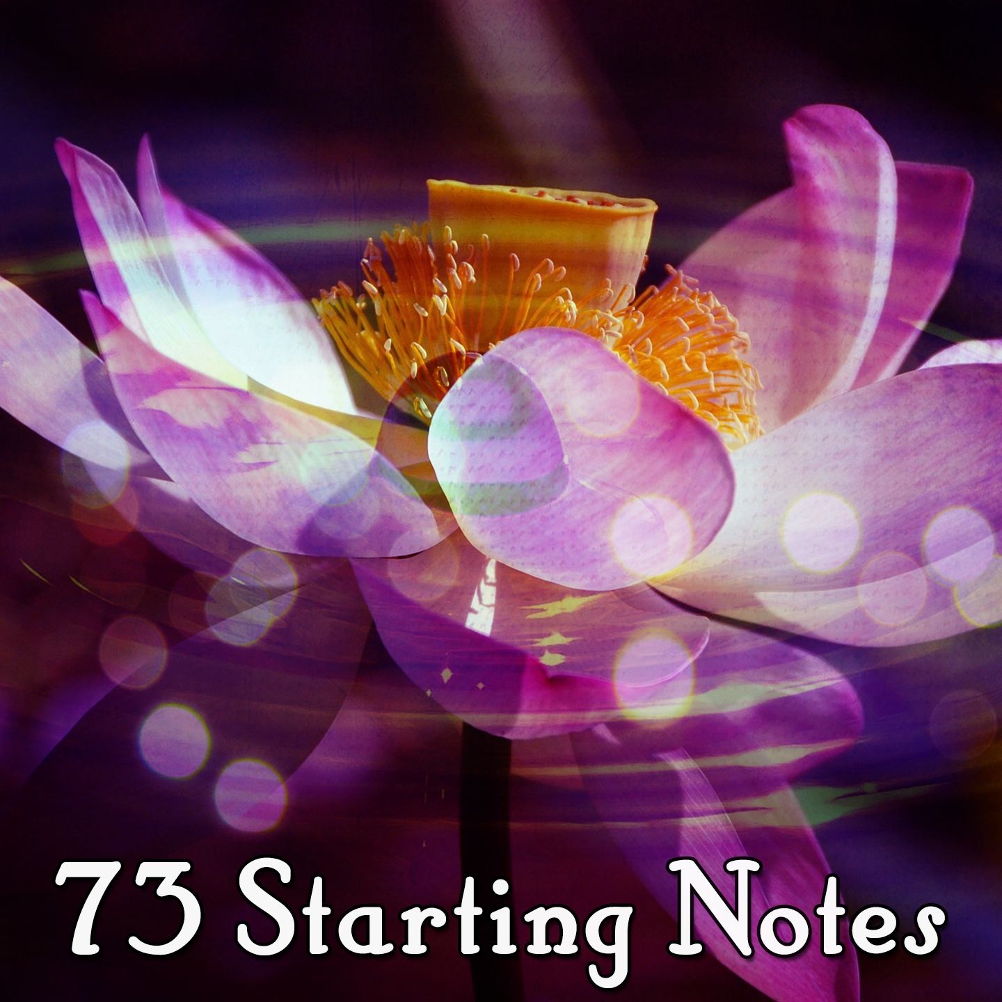 73 Starting Notes