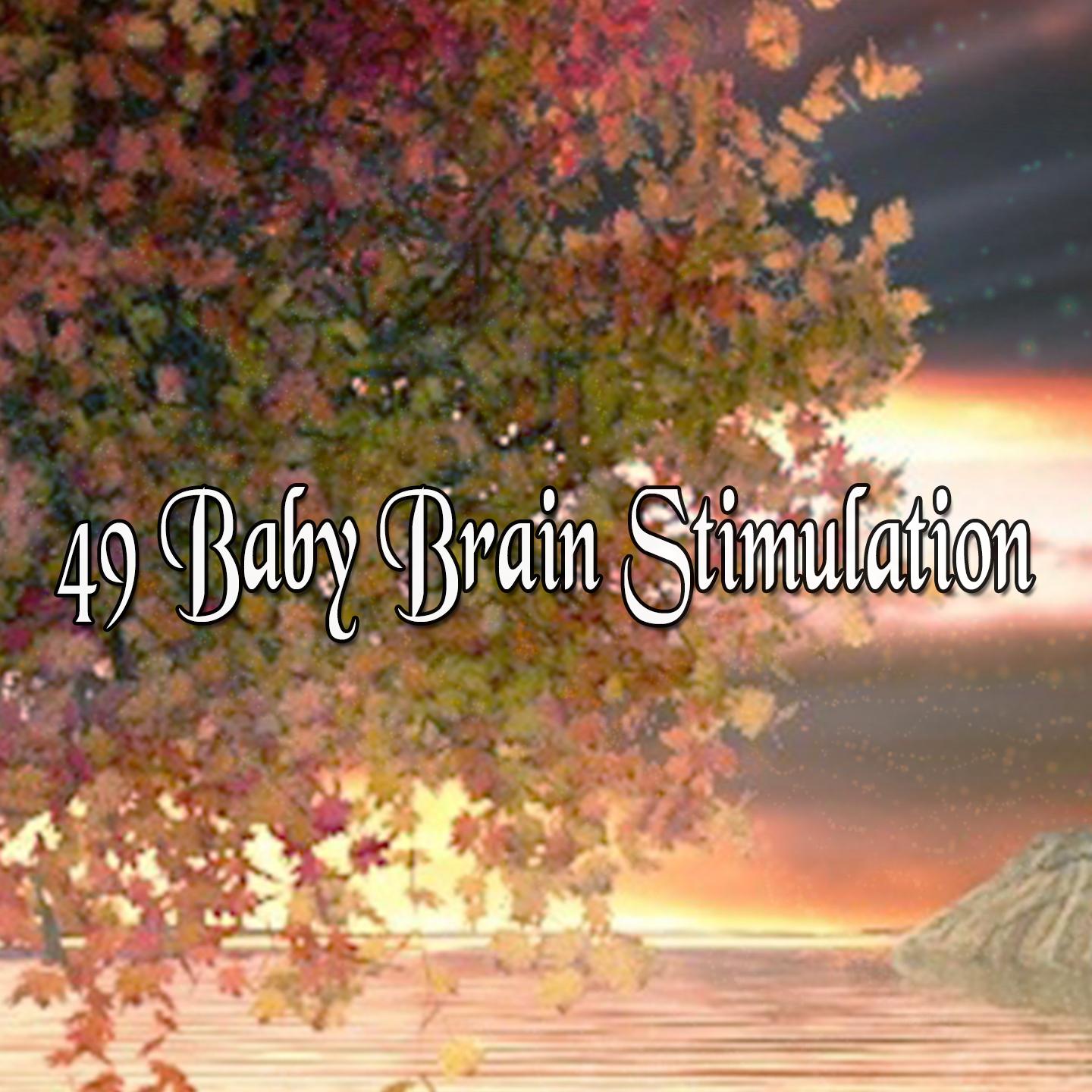 49 Baby Brain Stimulation