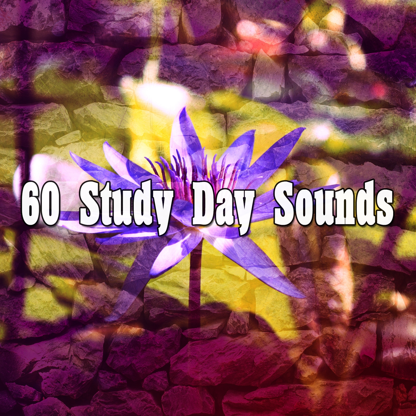 60 Study Day Sounds
