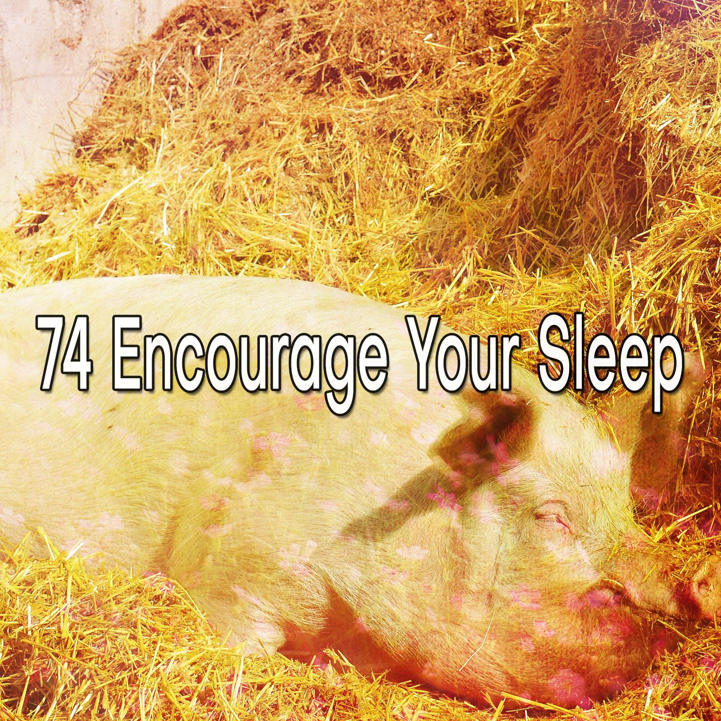 74 Encourage Your Sleep