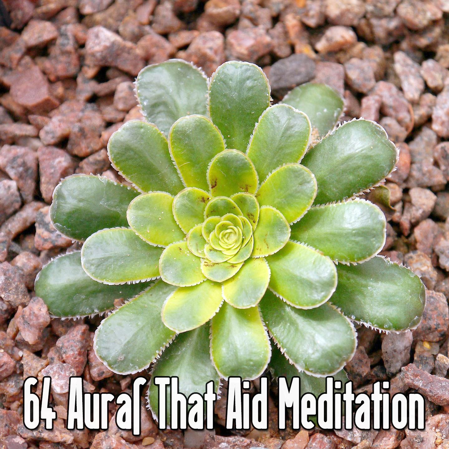 64 Auras That Aid Meditation