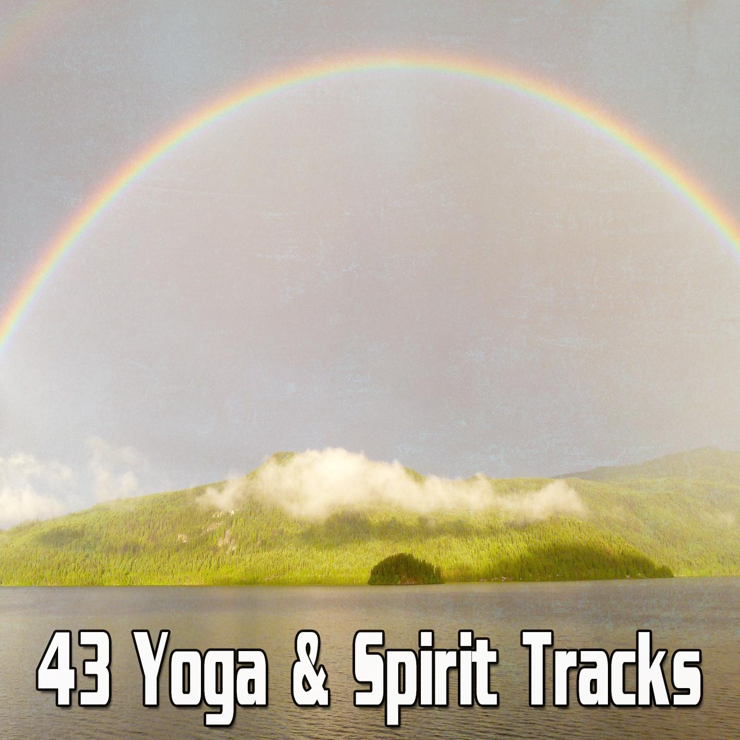 43 Yoga & Spirit Tracks