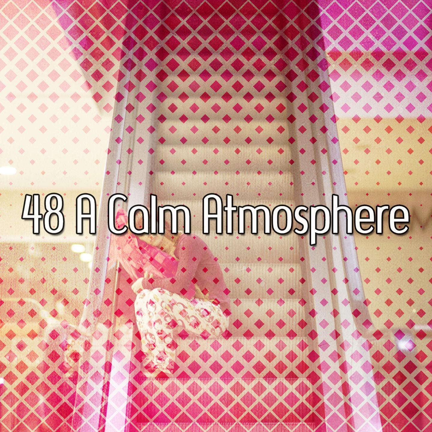 48 A Calm Atmosphere