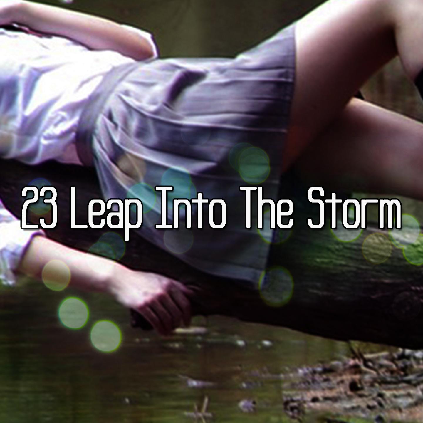 23 Leap Into The Storm