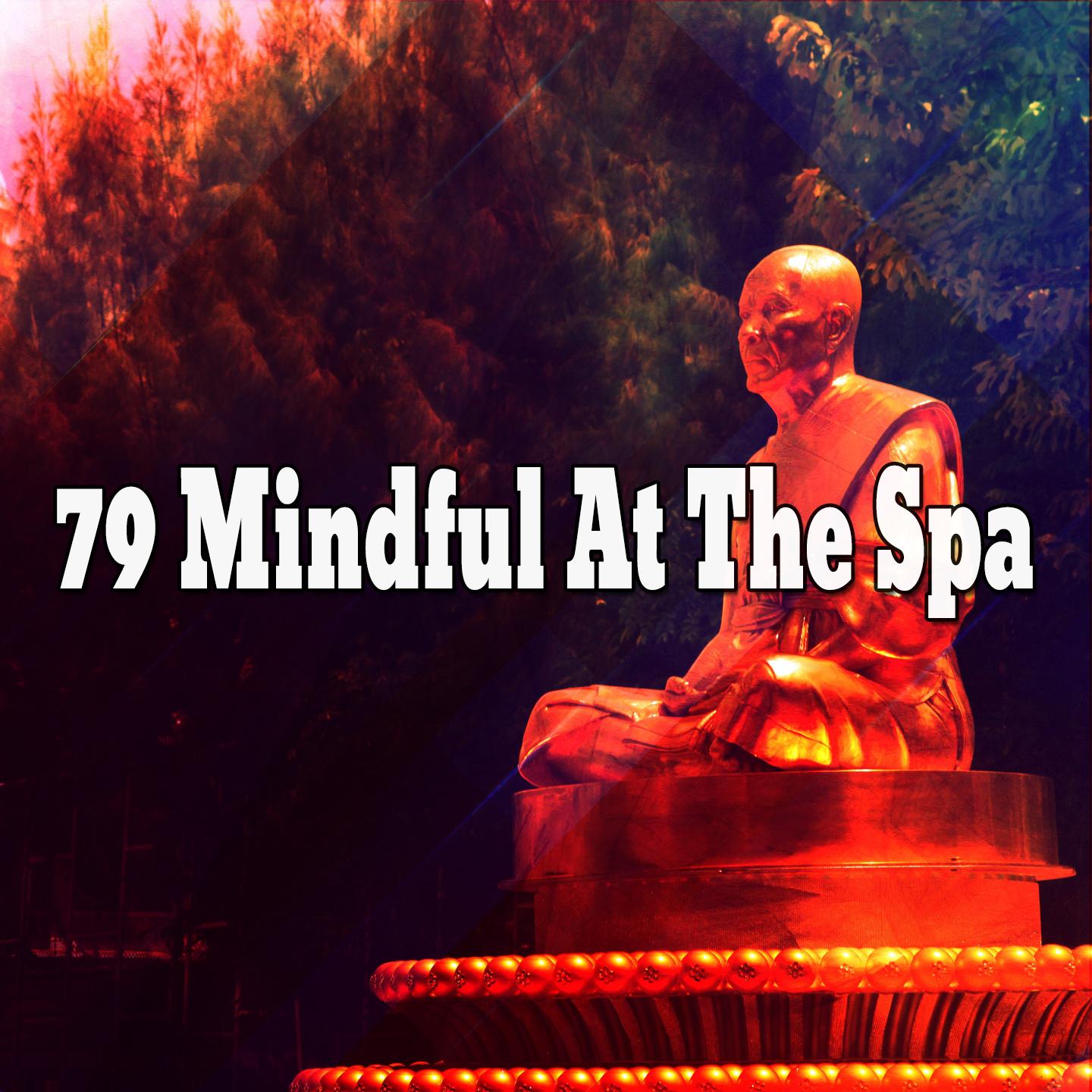 79 Mindful At The Spa