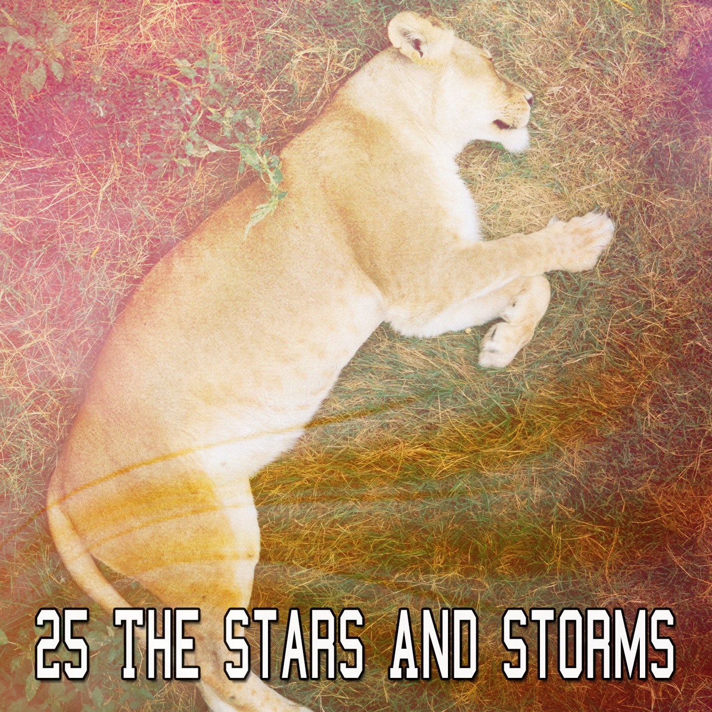 25 The Stars And Storms