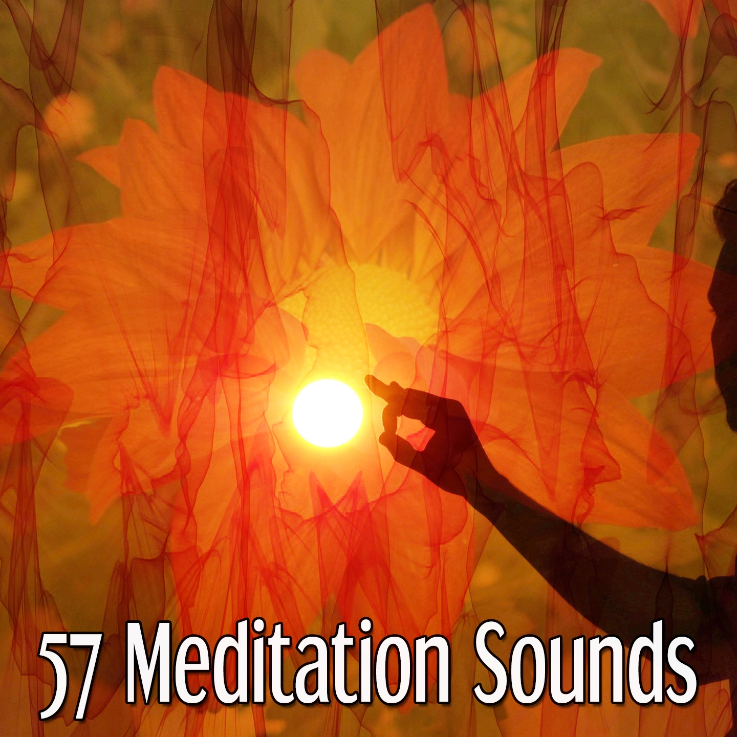 57 Meditation Sounds