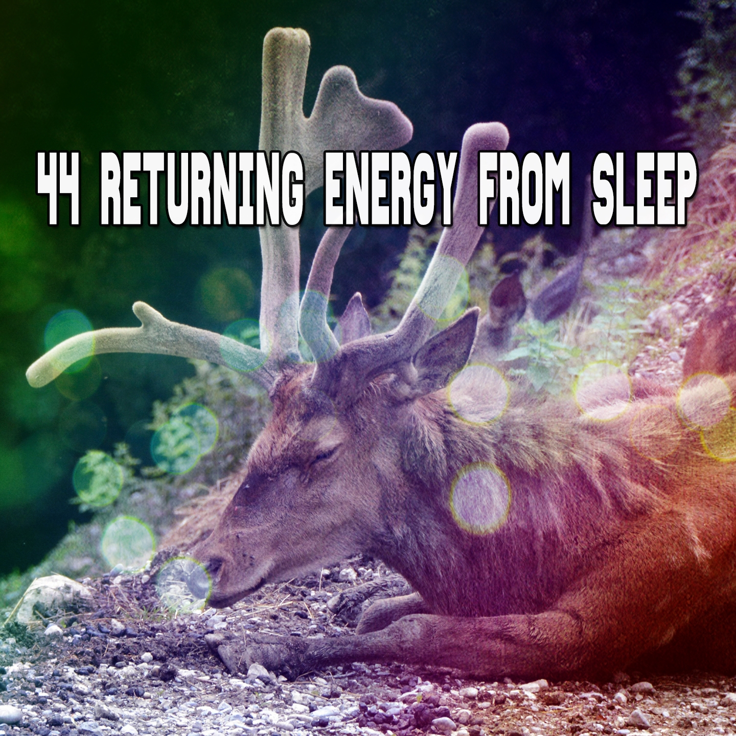 44 Returning Energy From Sleep
