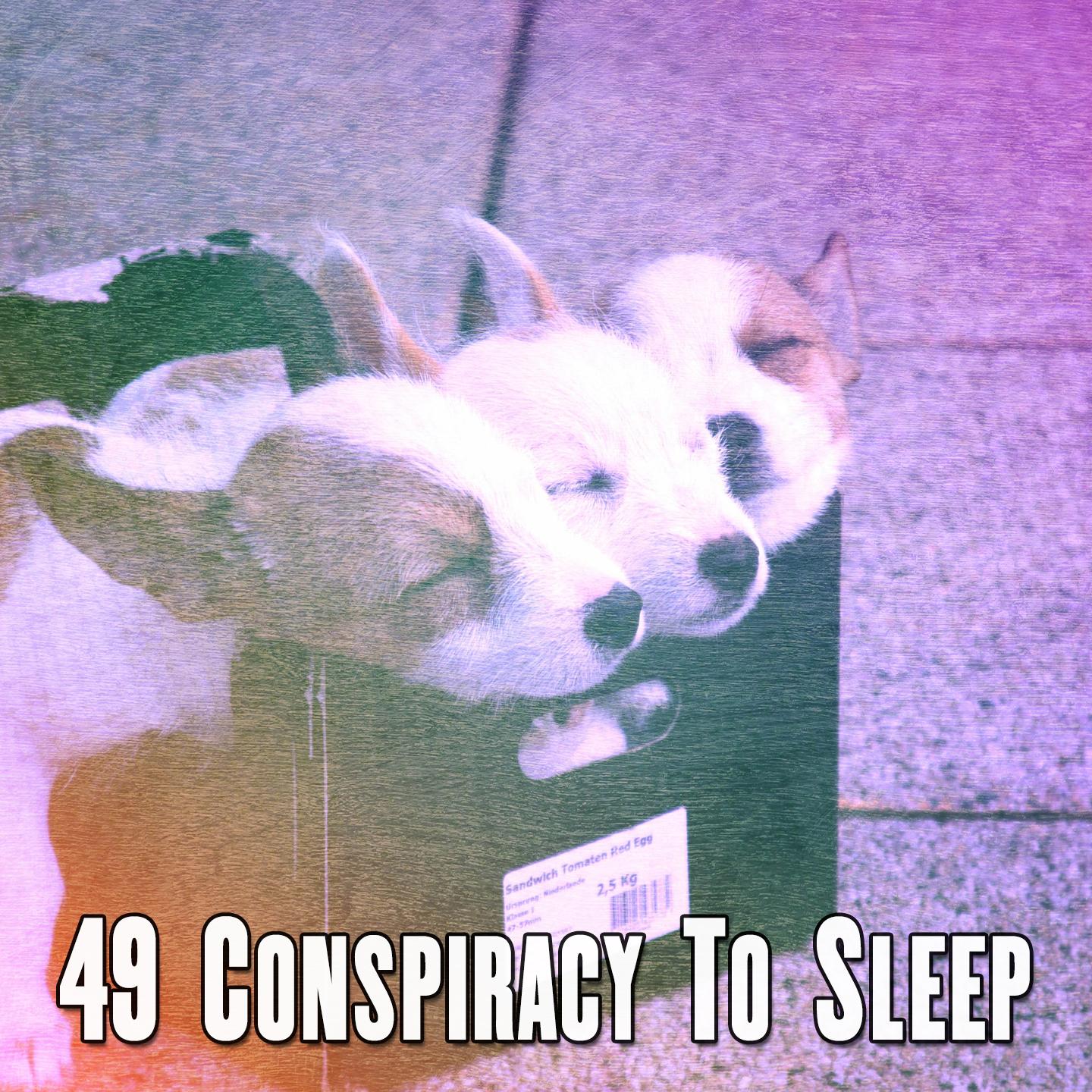 49 Conspiracy To Sleep