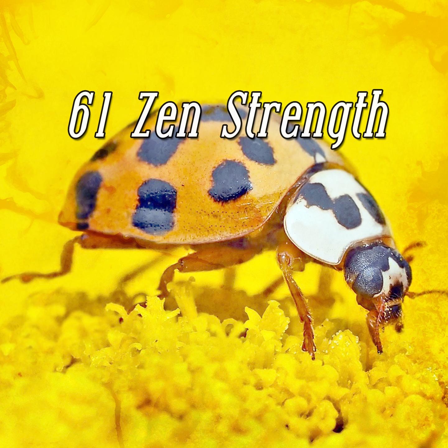 61 Zen Strength