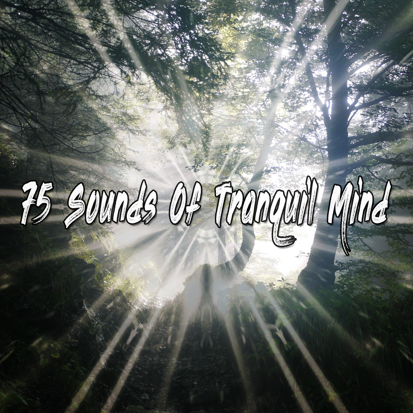 75 Sounds Of Tranquil Mind