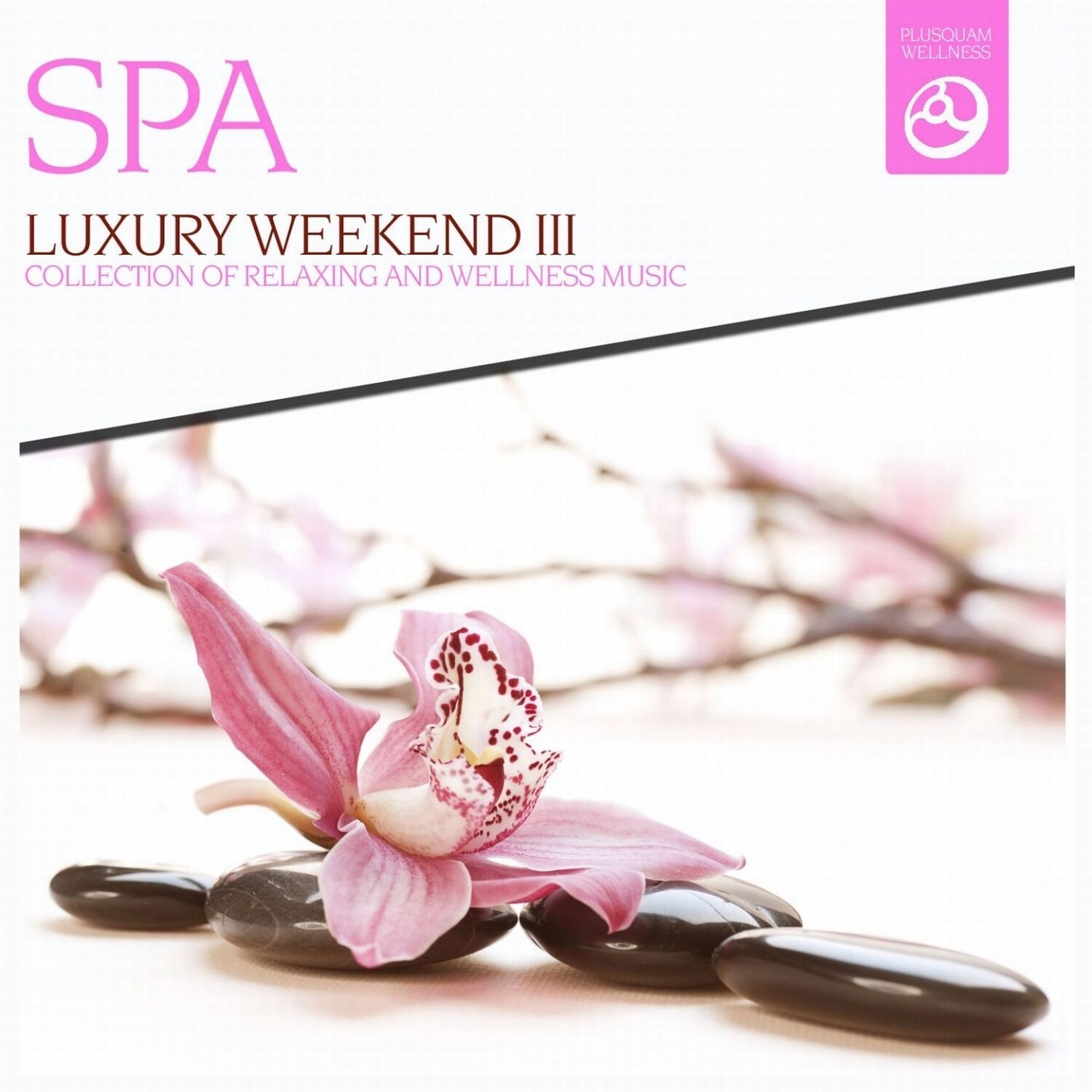 Luxury Weekend, Pt. 5