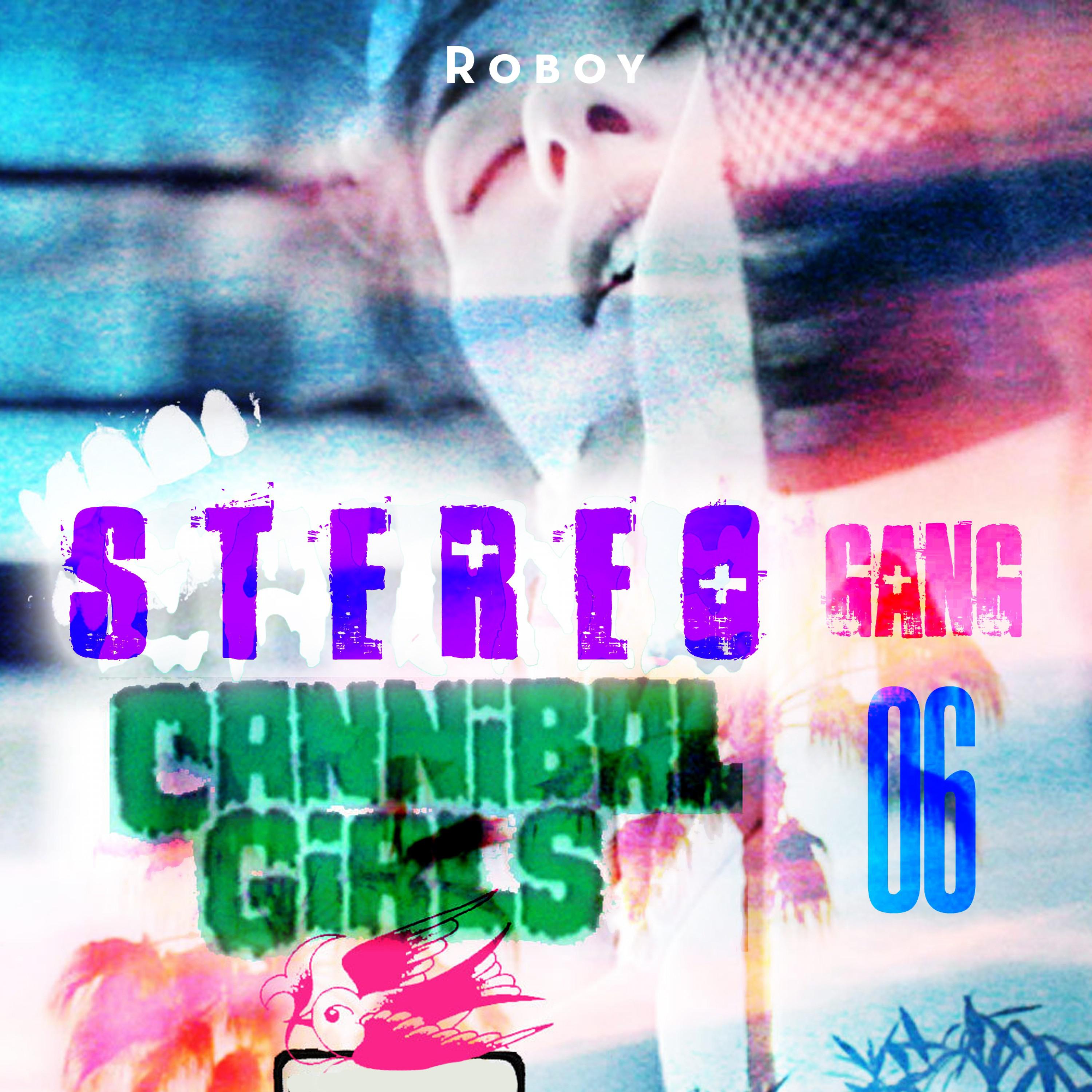 Stereo Gang 06