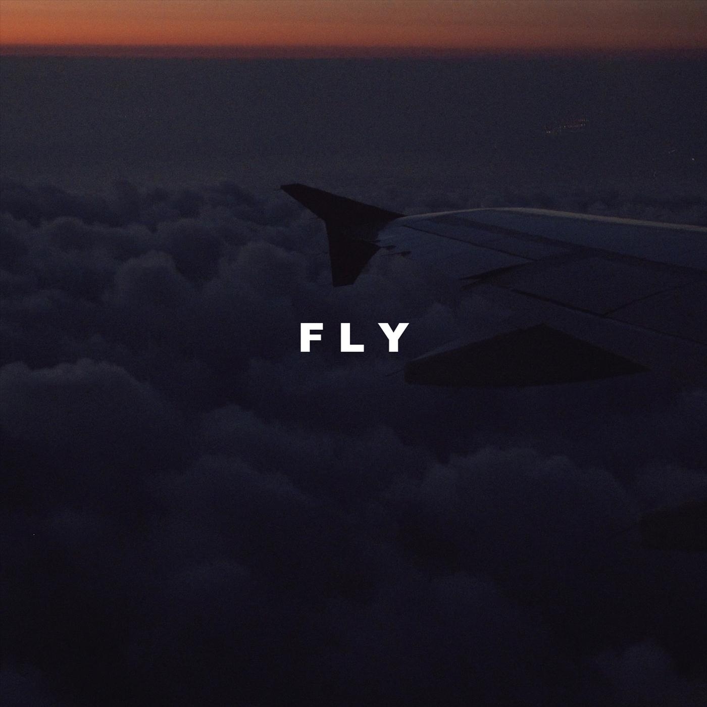 Fly