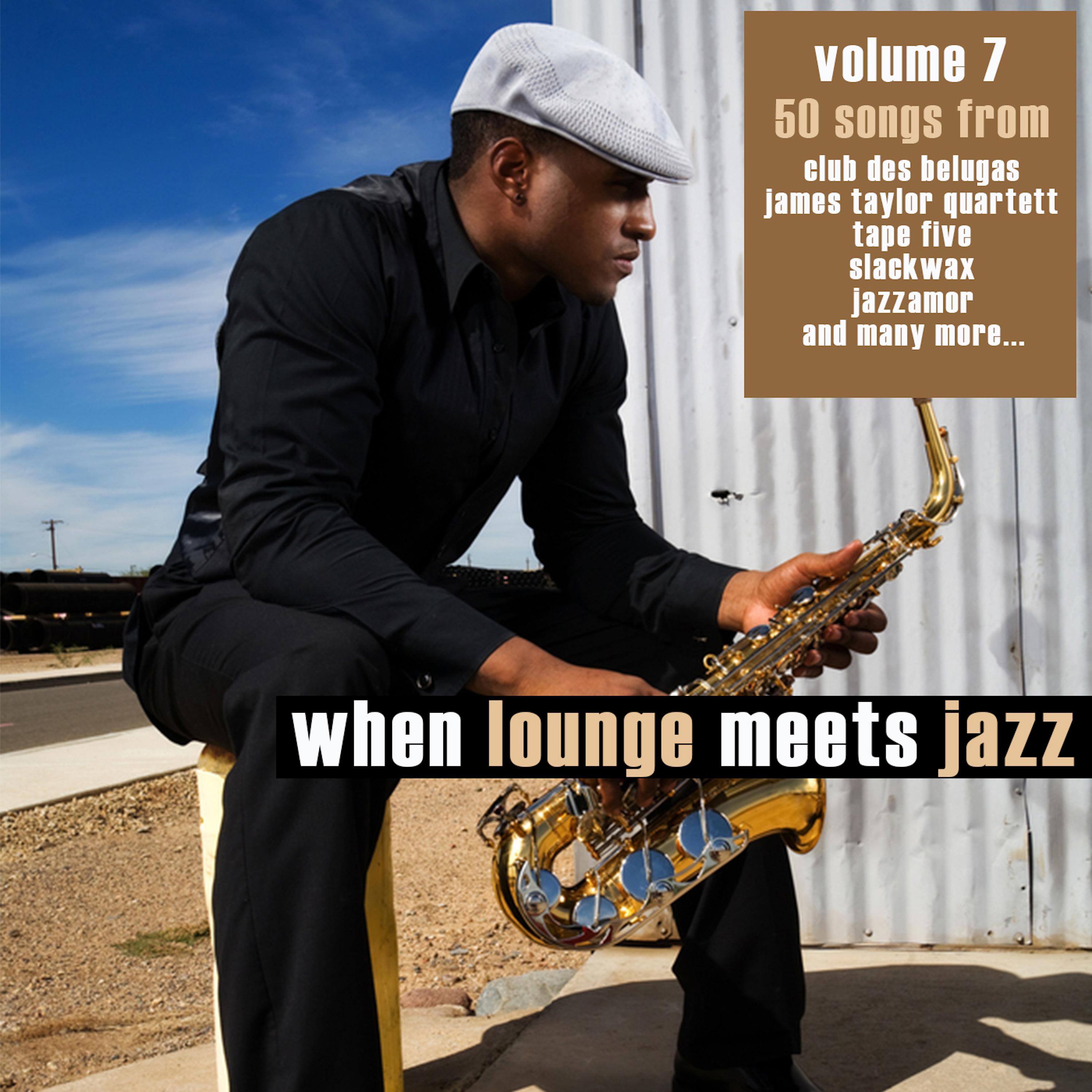 When Lounge Meets Jazz, Vol. 7
