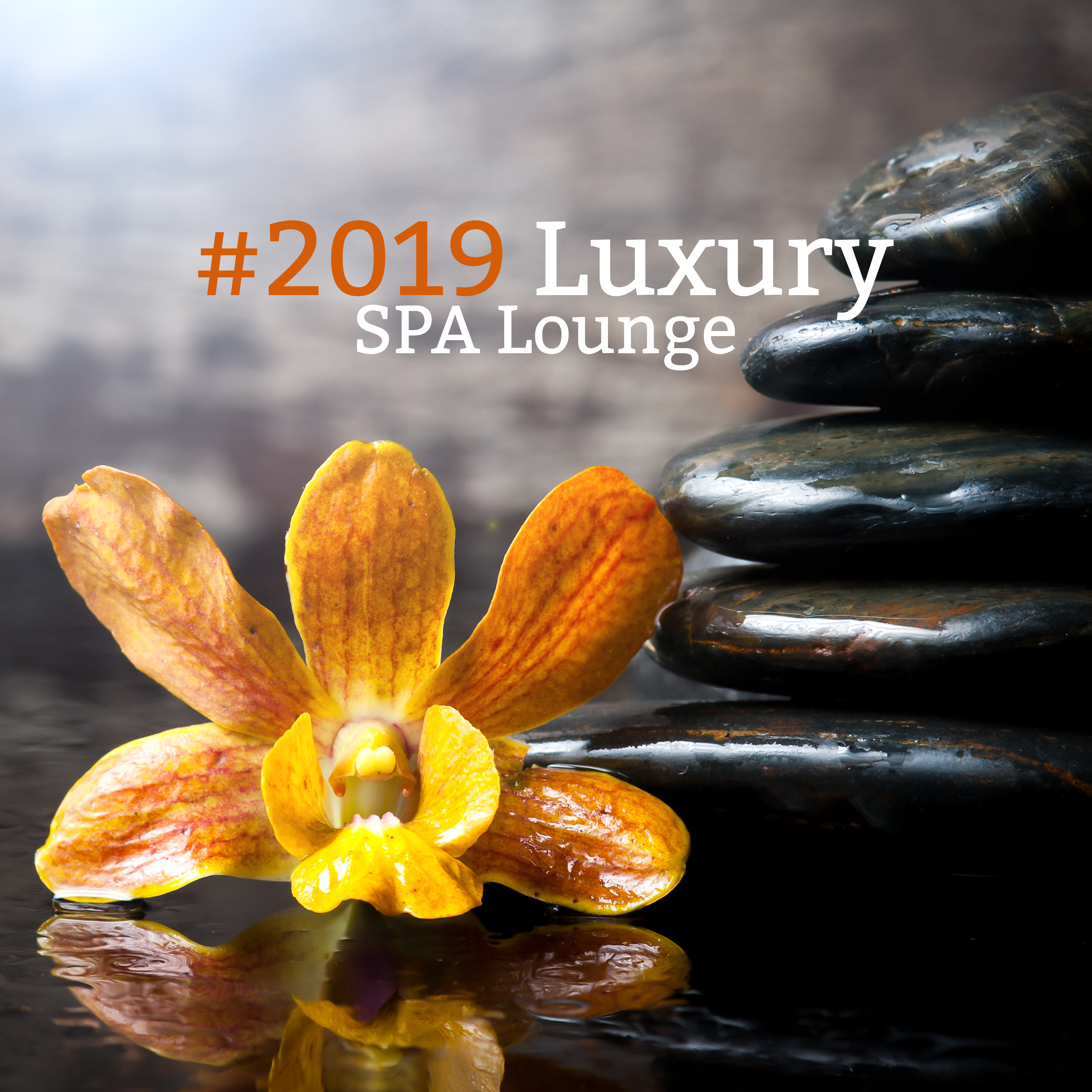 2019 Luxury SPA Lounge  Chill Out for Spa  Wellness, Massage, Relax, Zen Lounge, Ultimate Wellness Resort Boutique