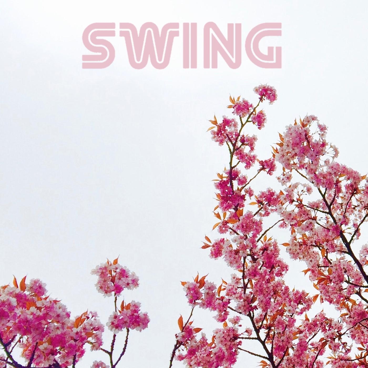 Swing