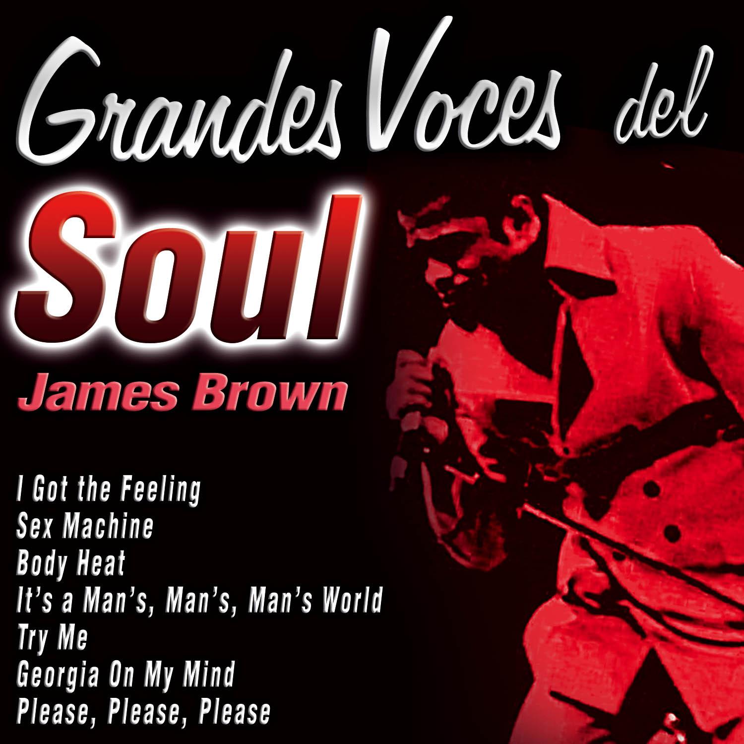 Grandes Voces del Soul: James Brown