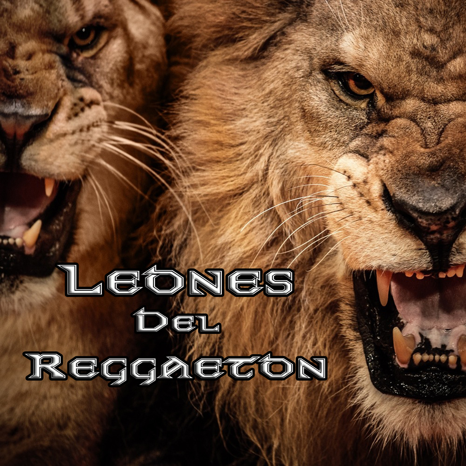Leones Del Reggaeton