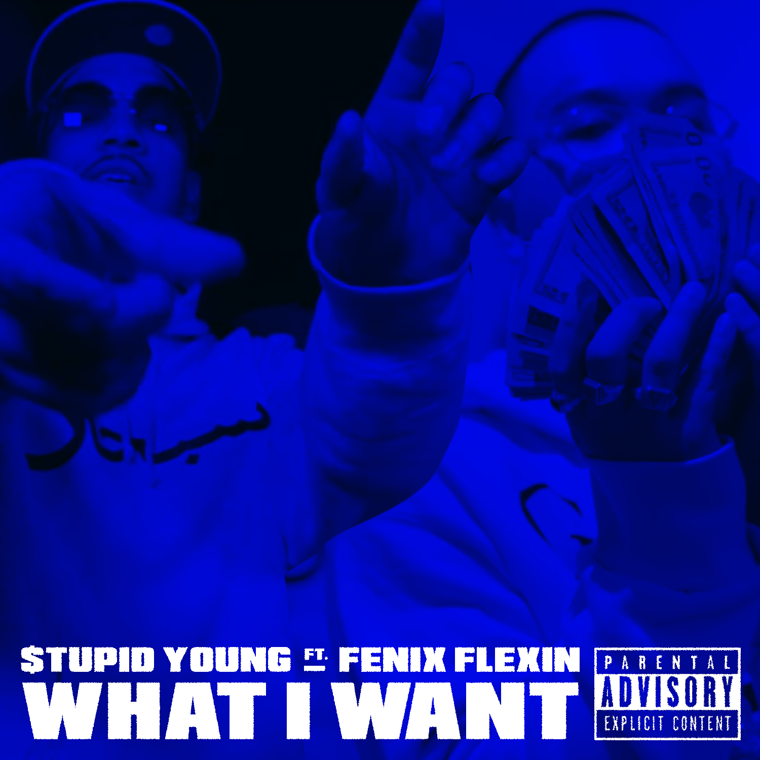 What I Want (feat. Fenix Flexin)