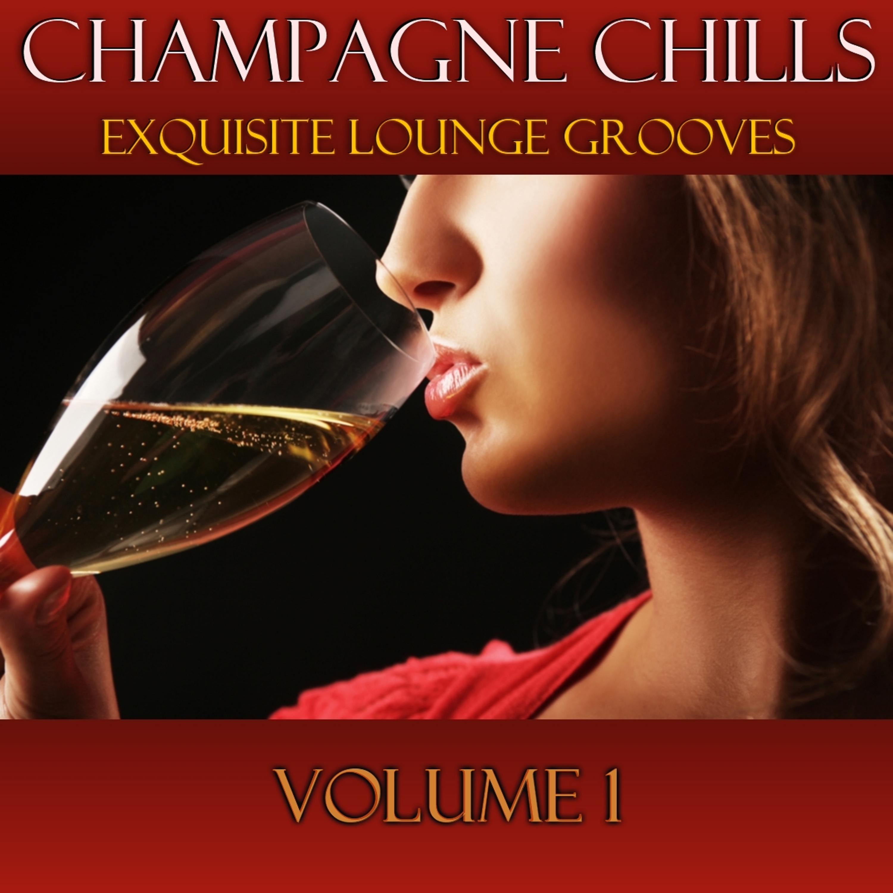 Champagne Chills, Vol. 1 - Exquisite Lounge Grooves