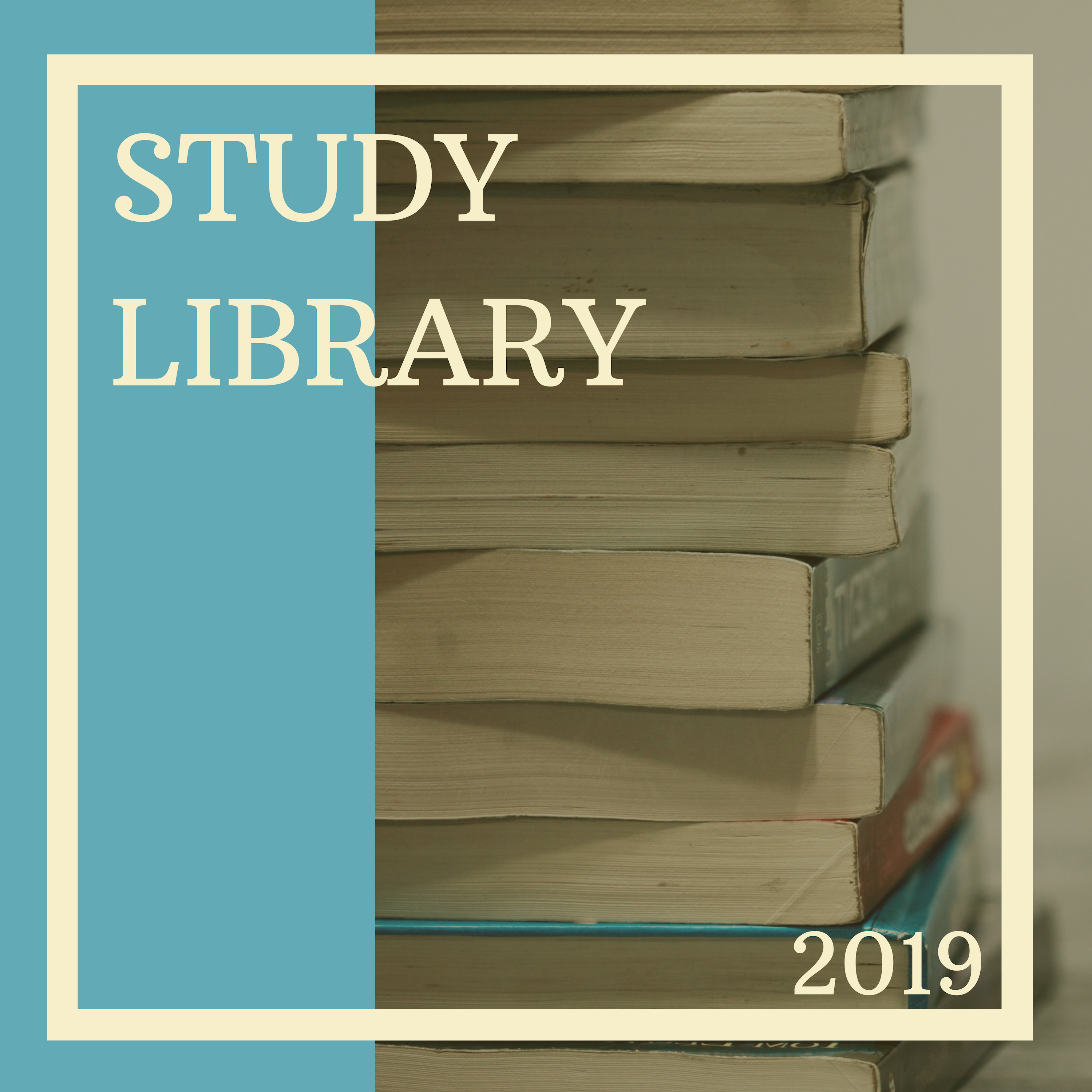 Review and Revise