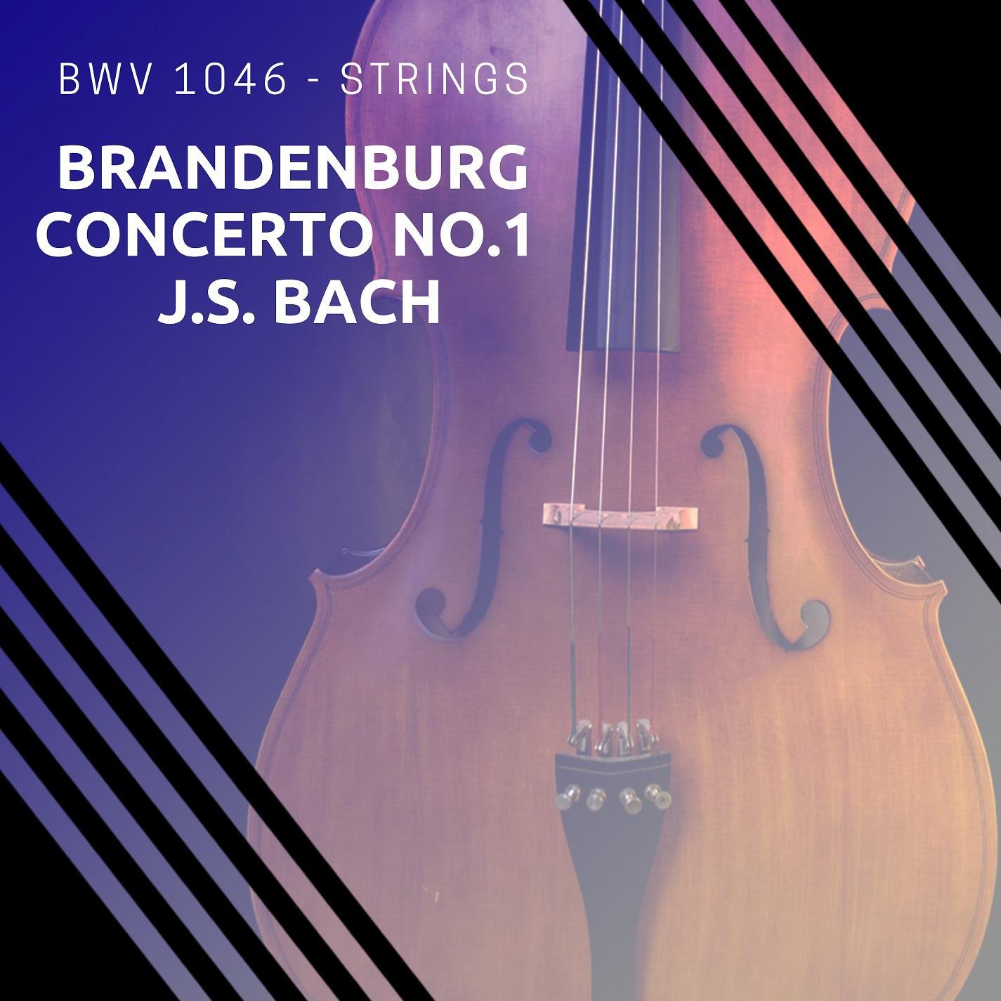 Brandenburg Concerto No. 1 in F major, BWV 1046, I. Allegro