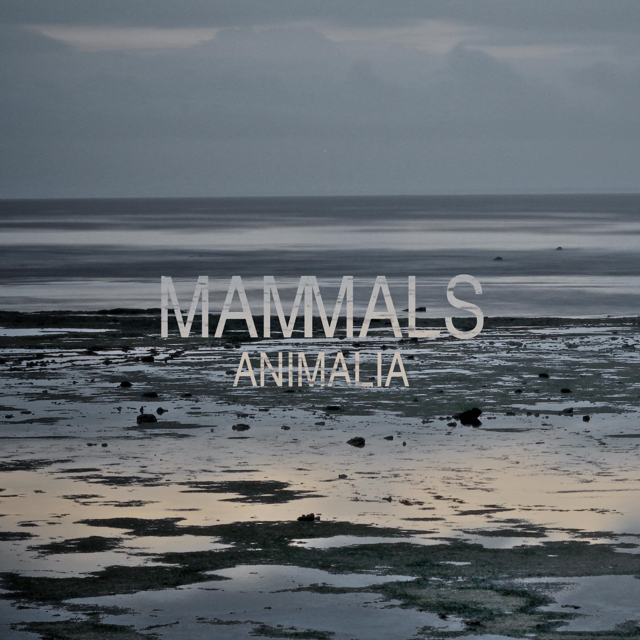 Animalia