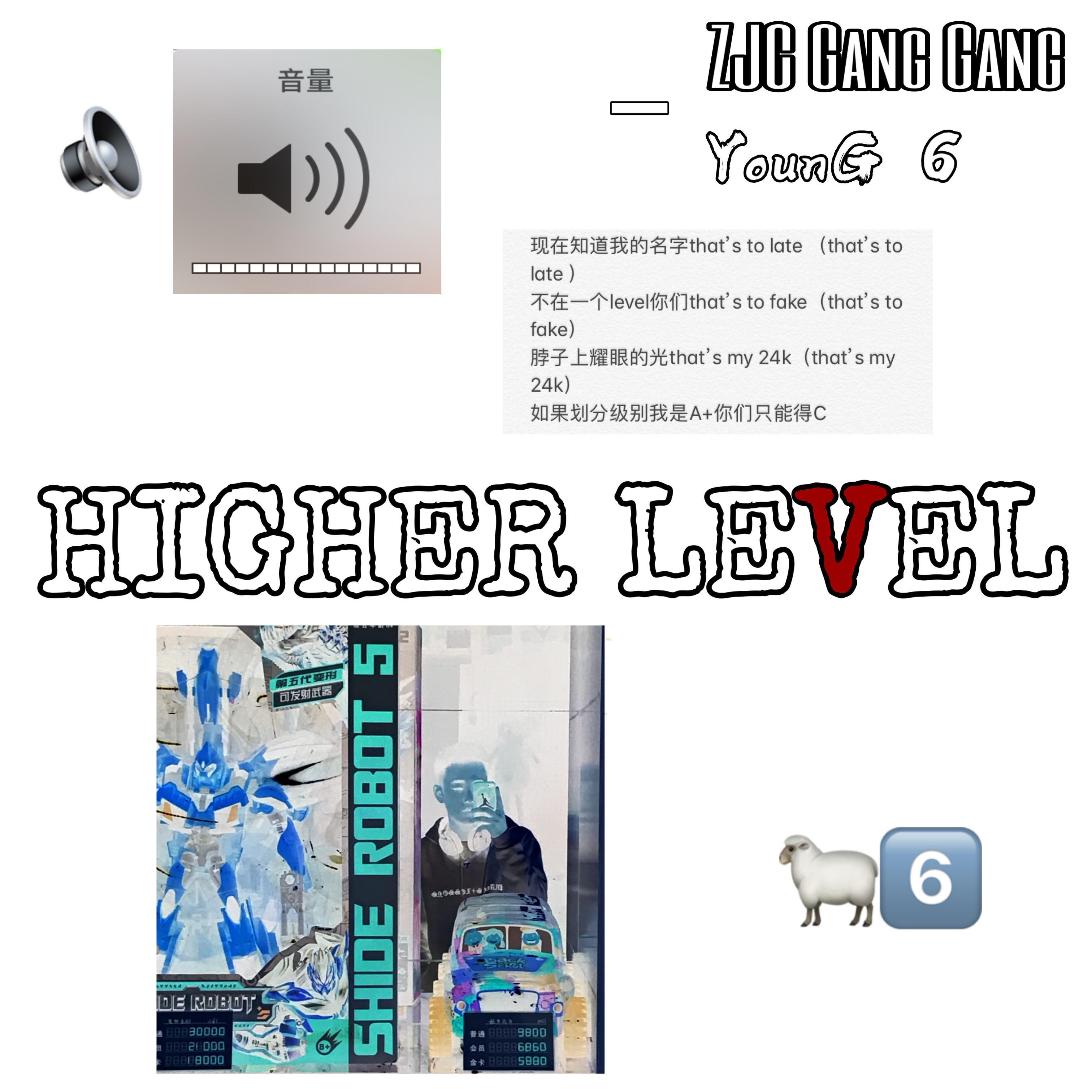 HIGHER LEVEL