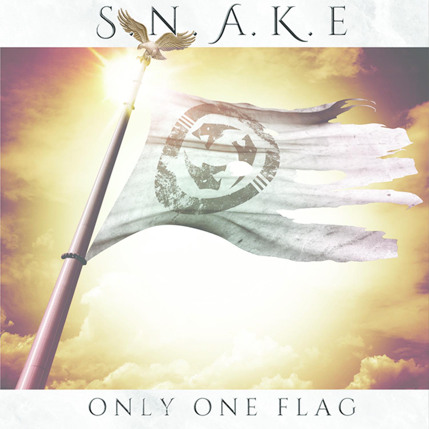 Only One Flag