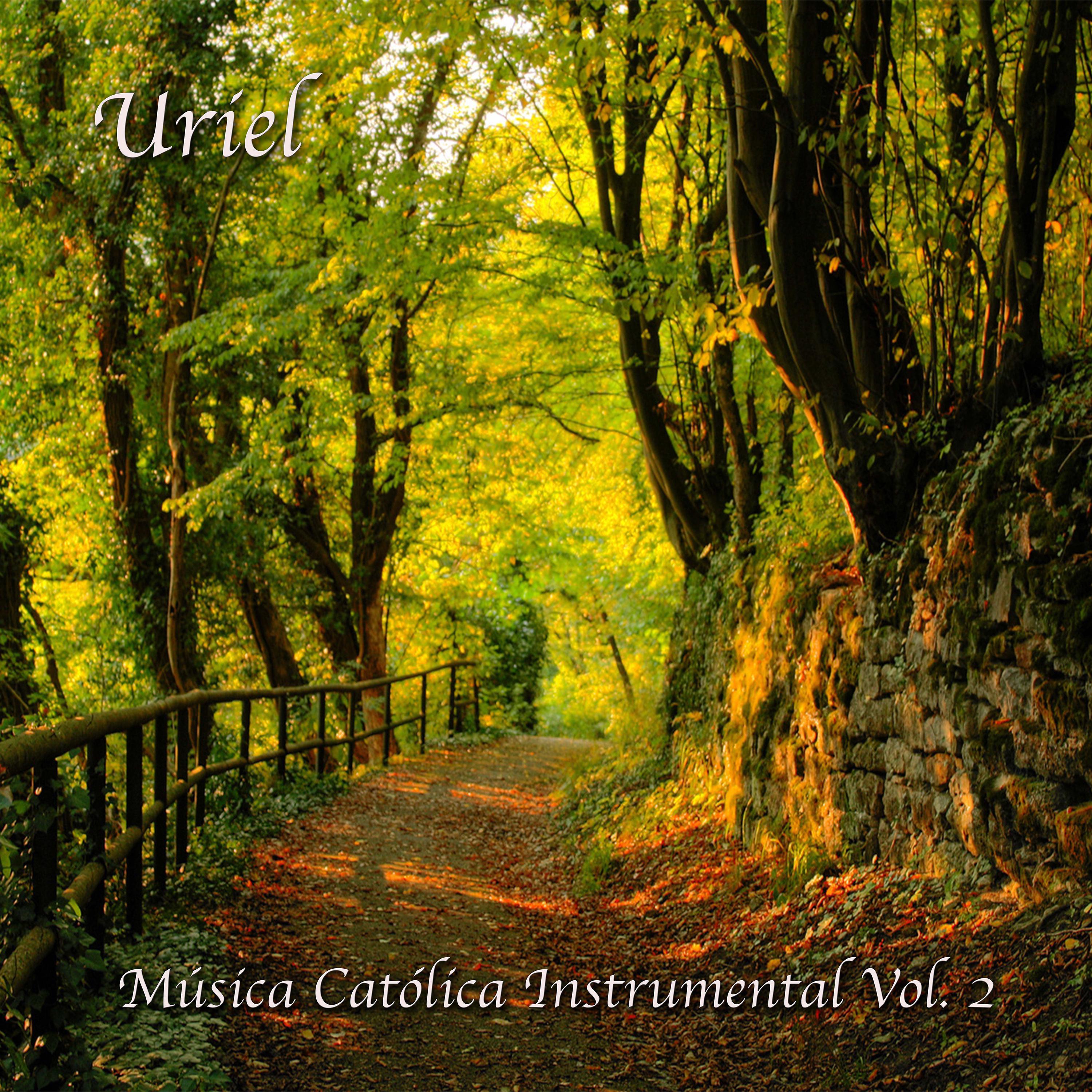 M sica Cat lica Instrumental Vol. 2