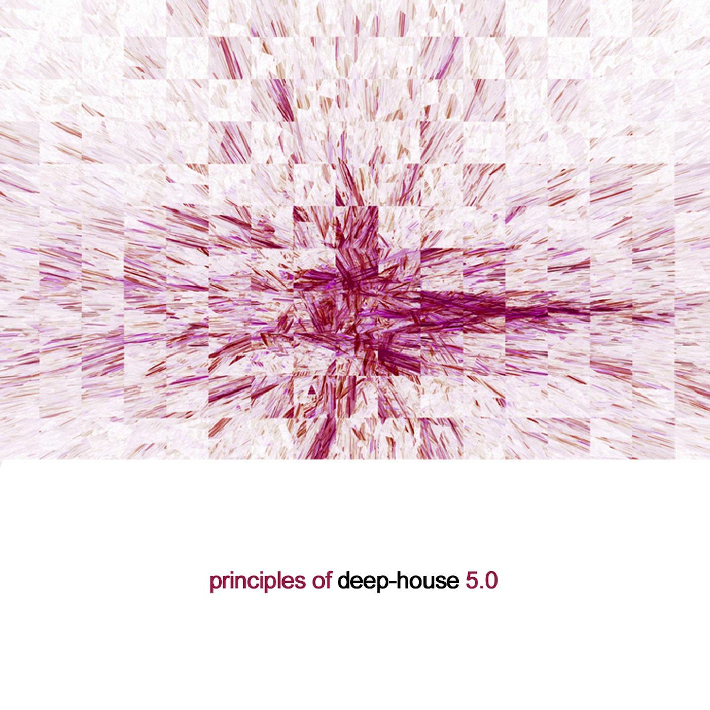 Principles of Deep House 5.0