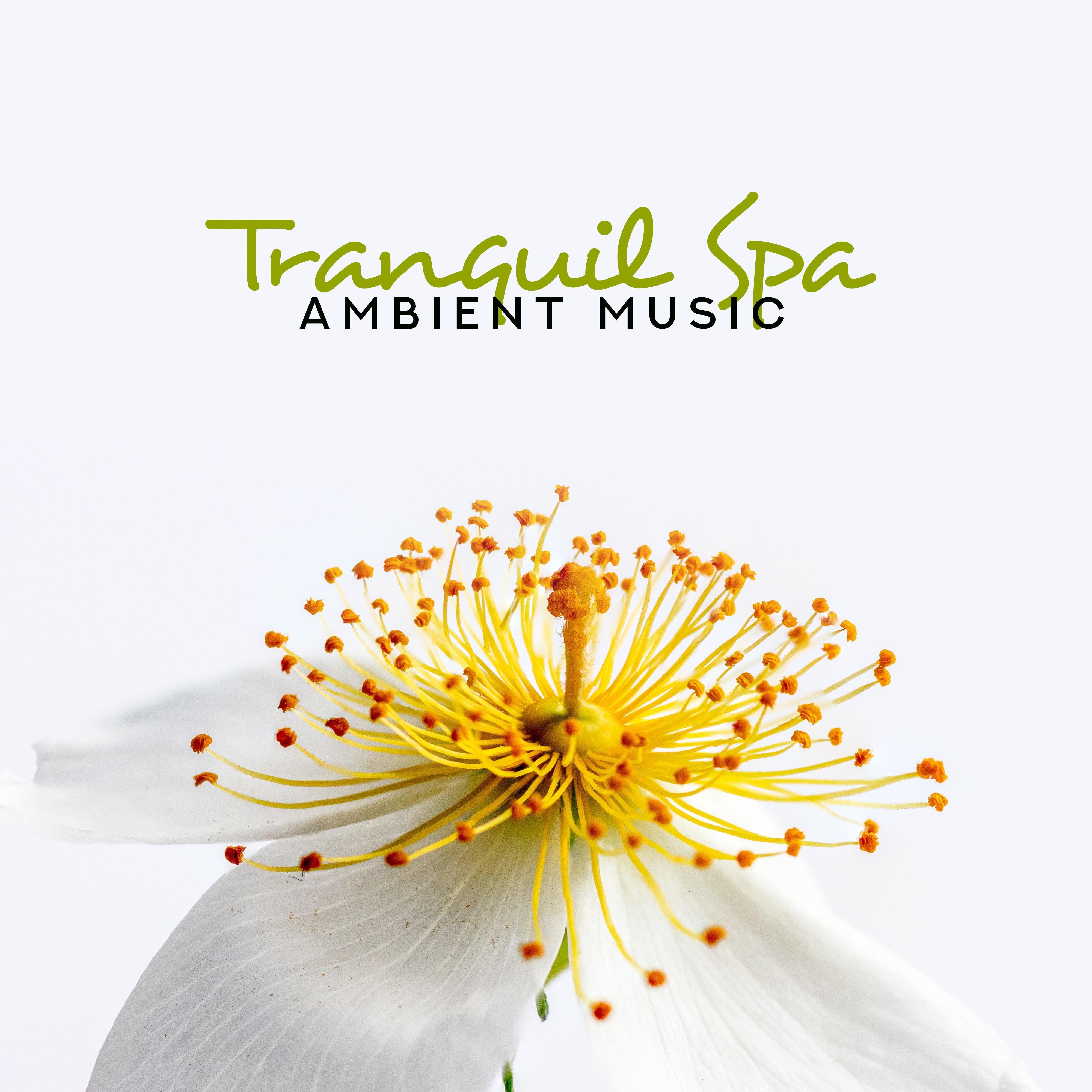 Tranquil Spa Ambient Music