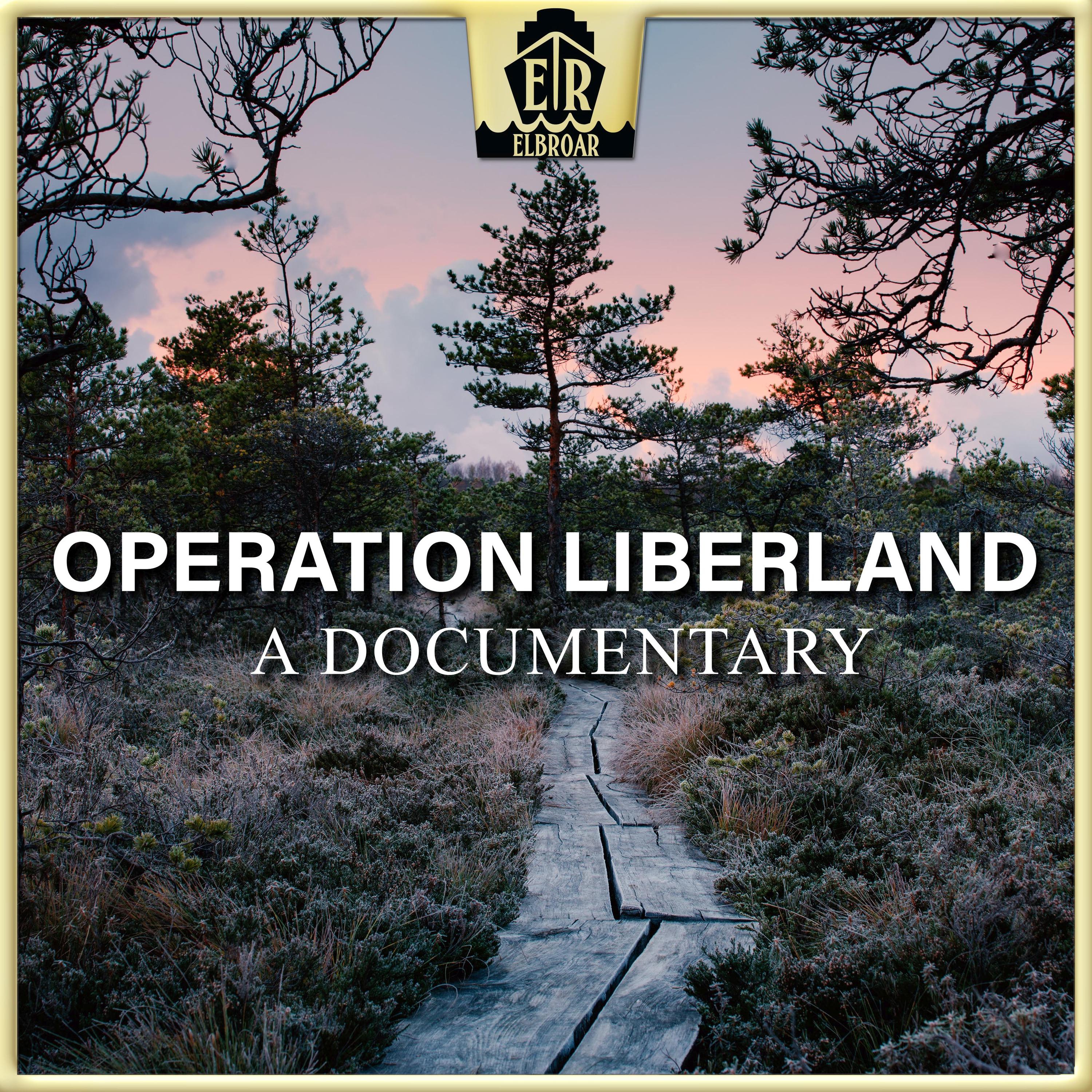 Operation Liberland