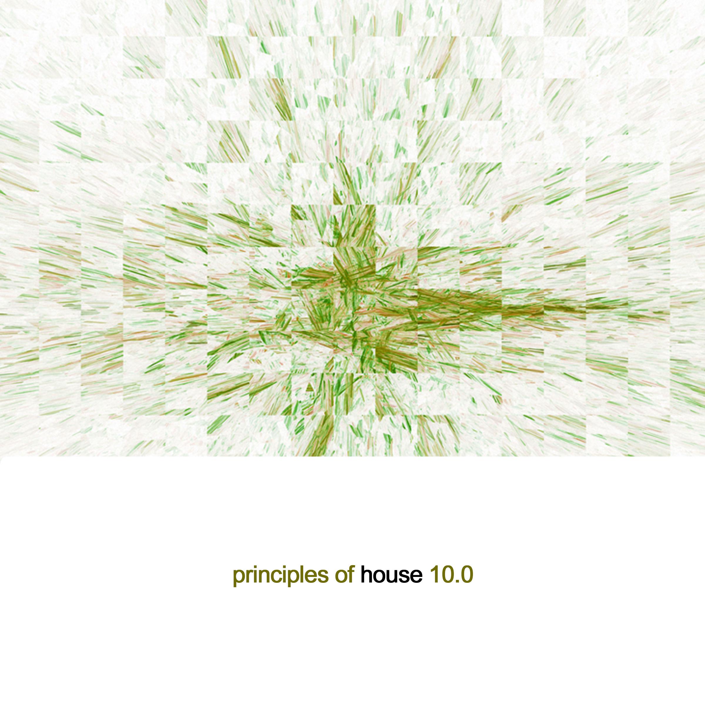 Principles of House 10