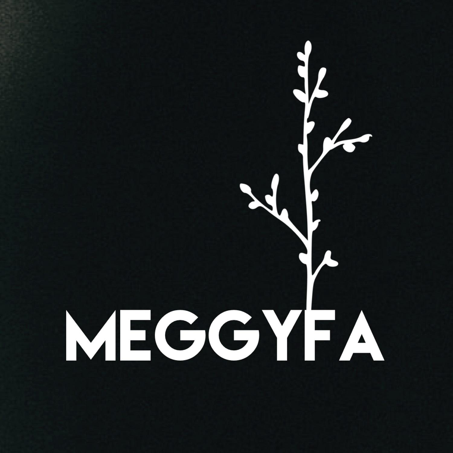 Meggyfa