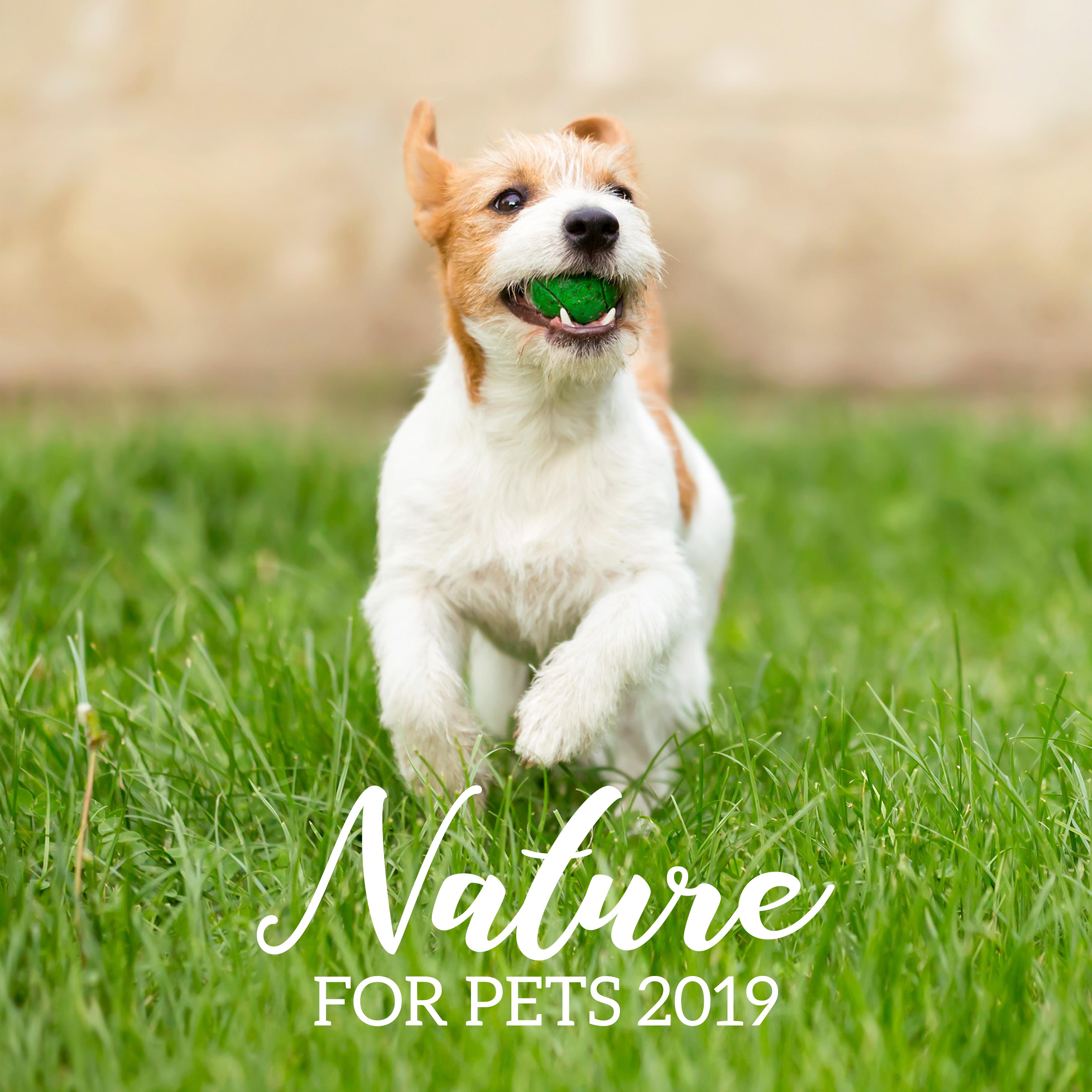 Nature for Pets 2019