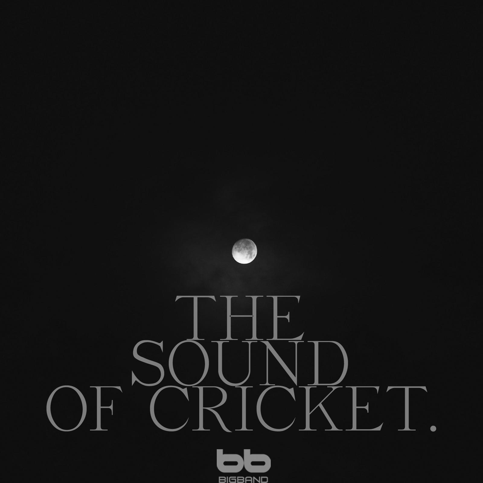 Cricket Sound at the Dawn