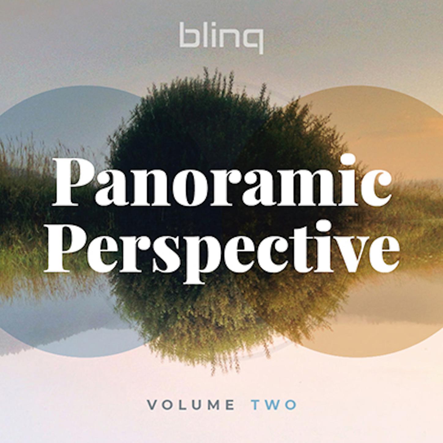 Panoramic Perspective, Vol. 2