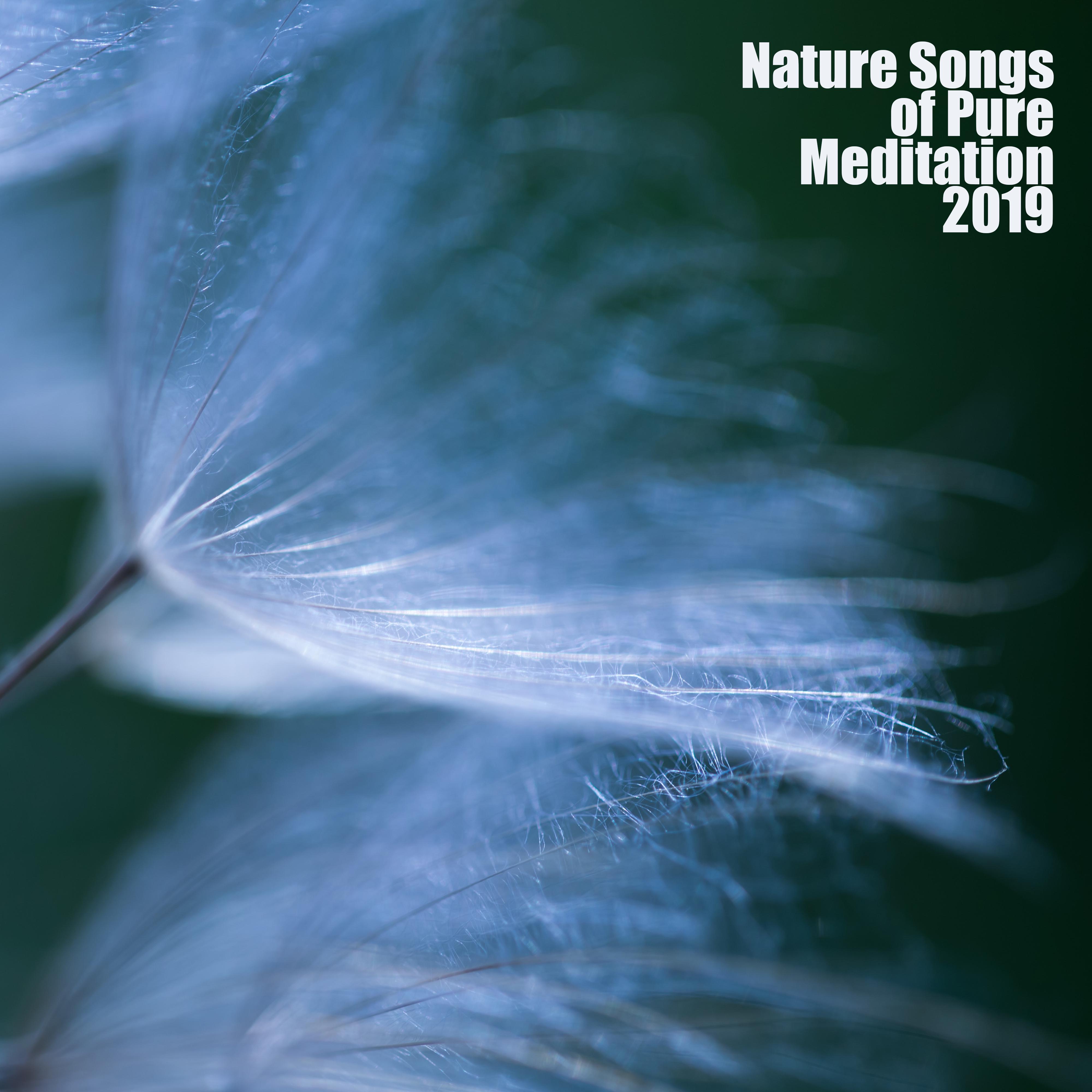 Nature Songs of Pure Meditation 2019: 15 New Age Music for Yoga & Relaxation, Sounds of Birds, Water, Wind