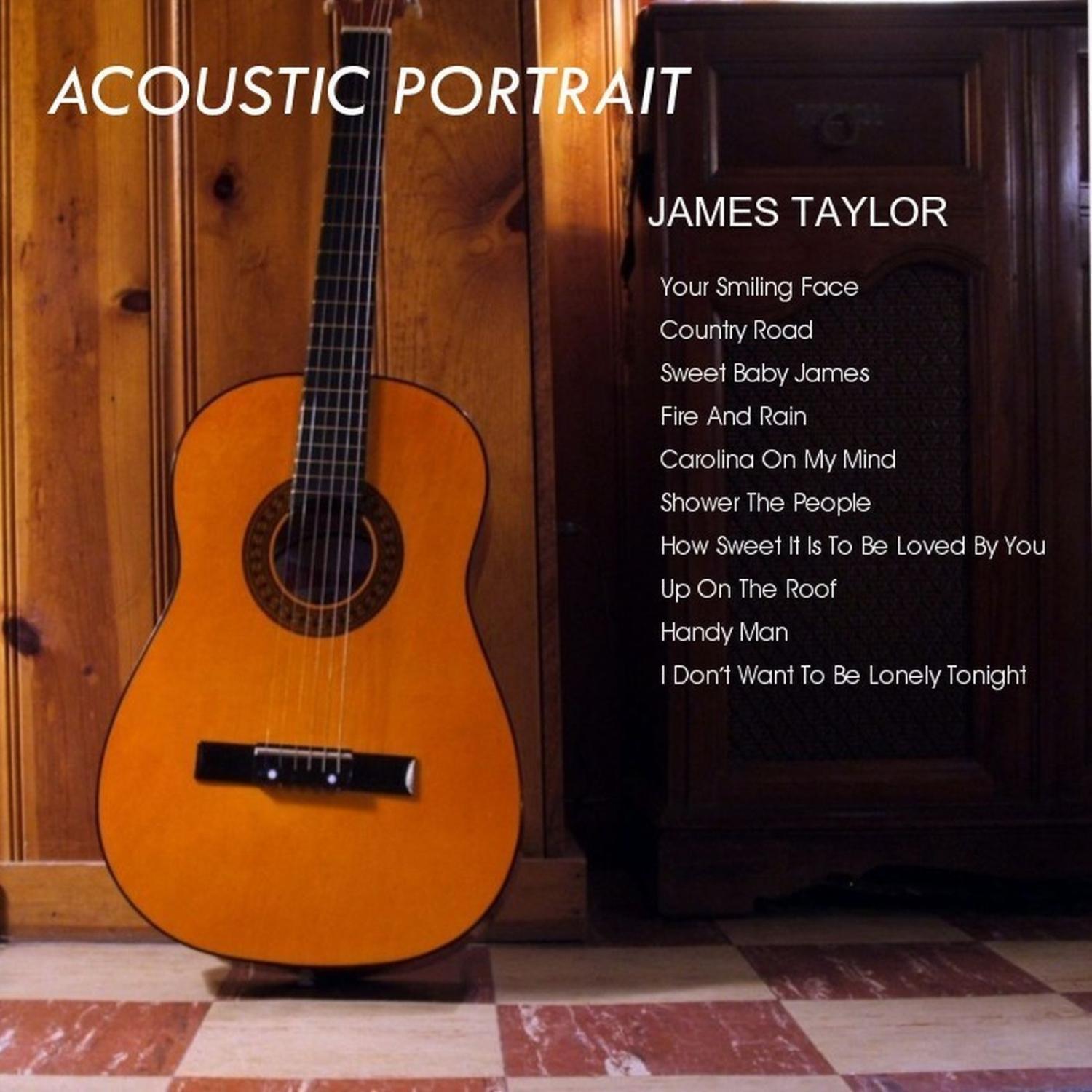 Acoustic Portarait of James Taylor