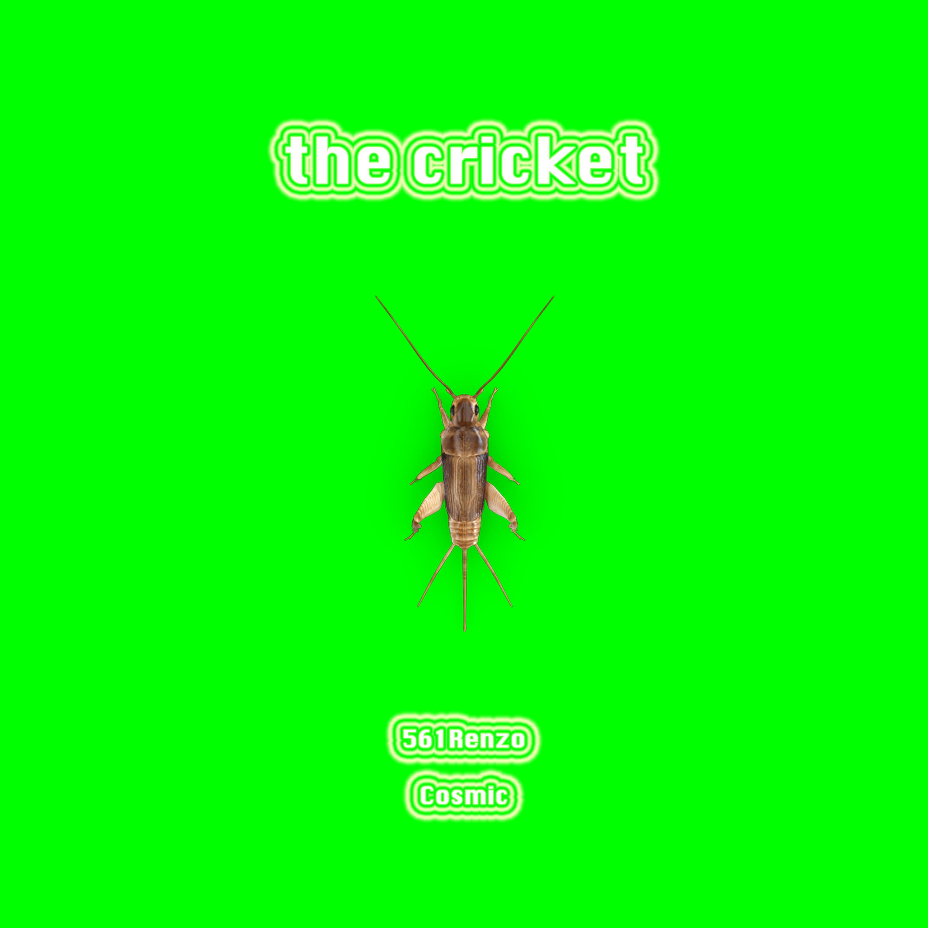 The Cricket