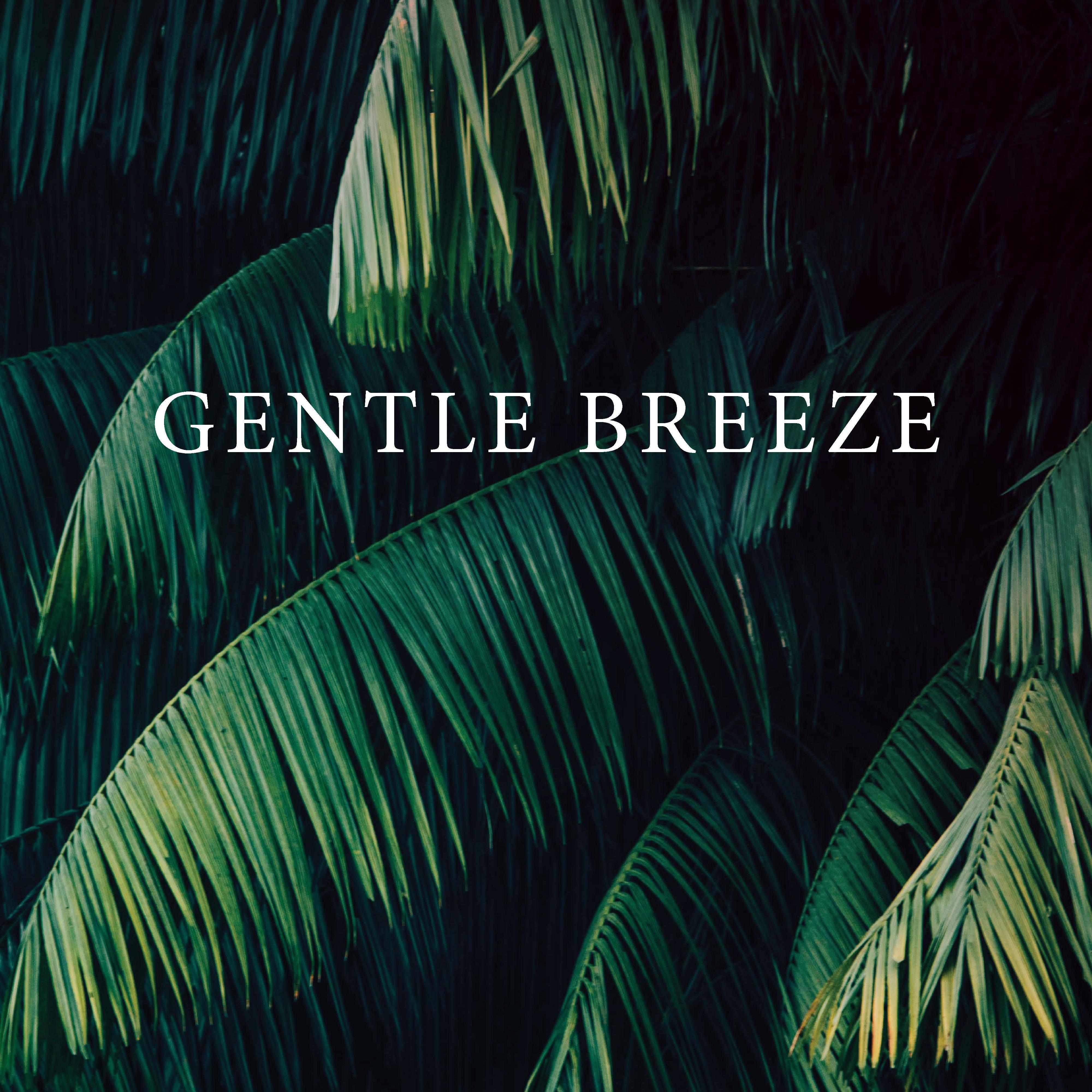 Gentle Breeze