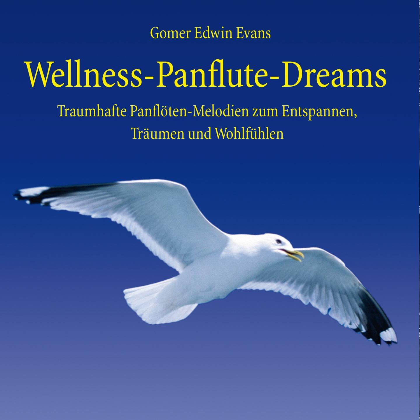 Wellness Panflute Dreams : Melodien zum Tr umen und Entspannen