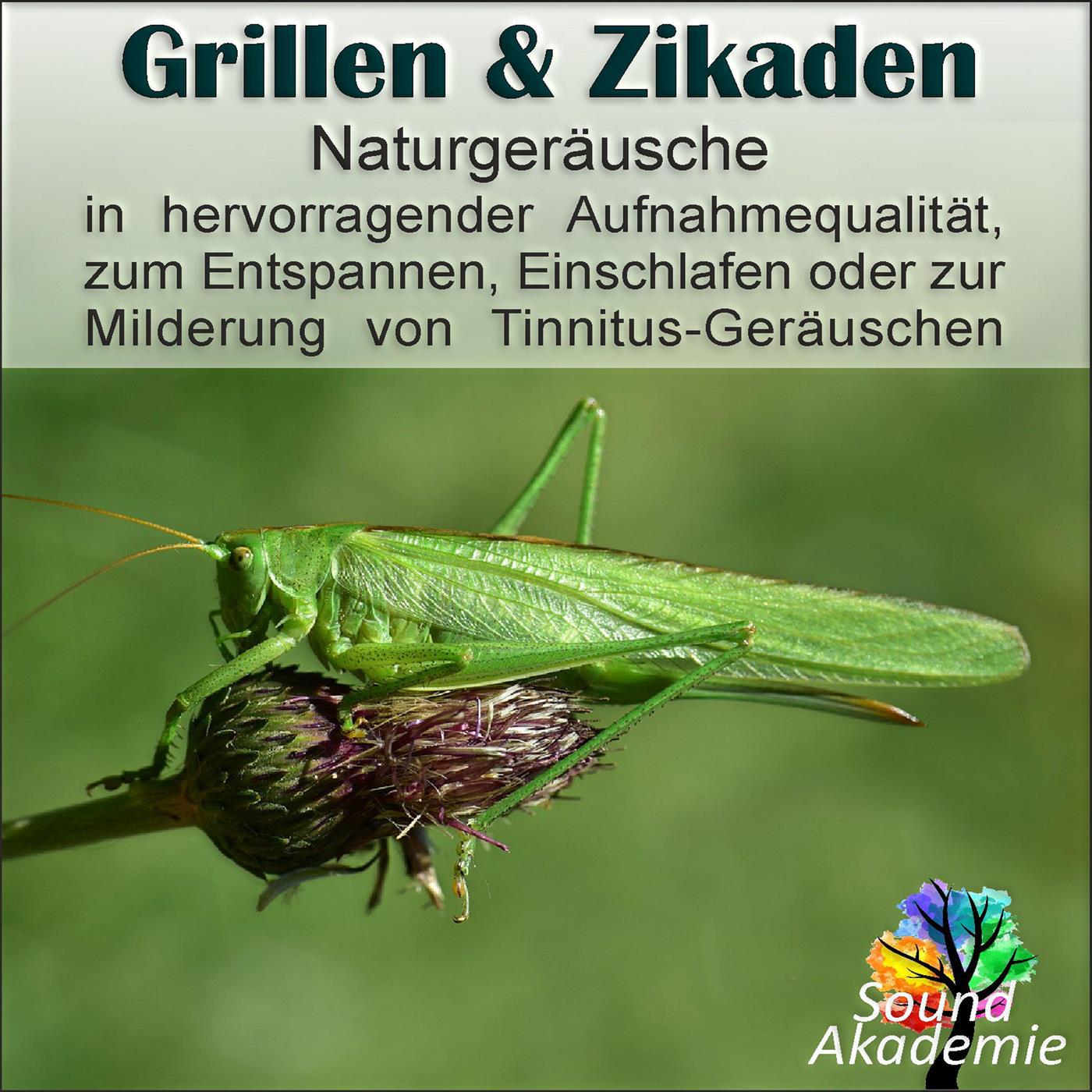 Grillen nahe eines Bauerhofs