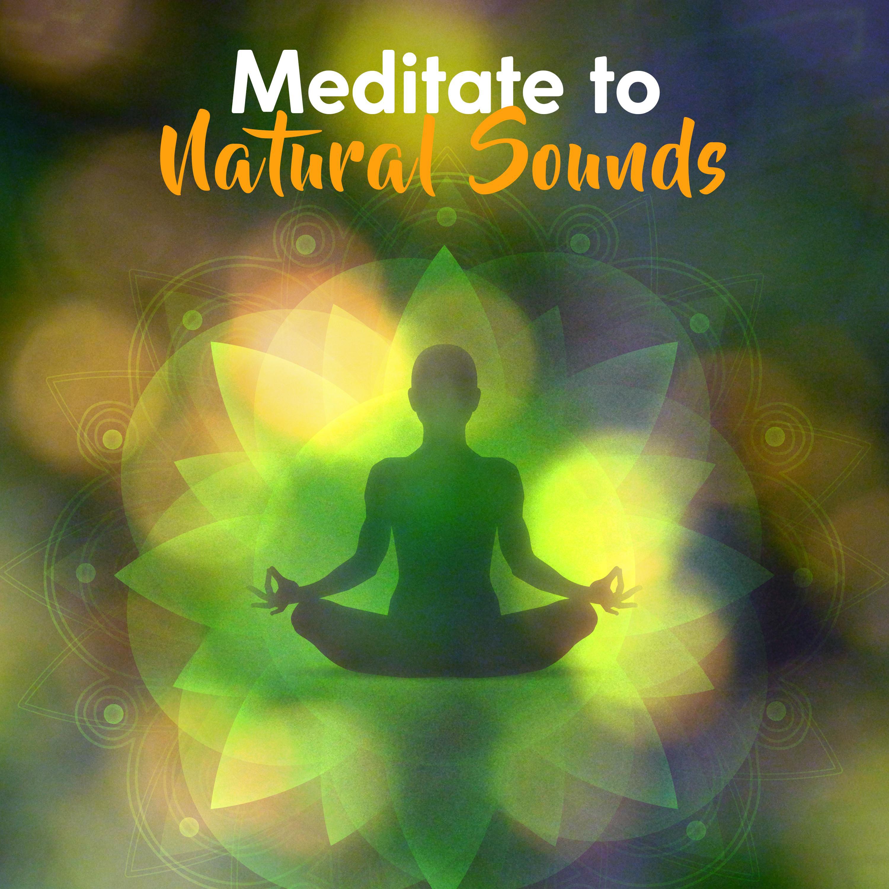 Meditate to Natural Sounds