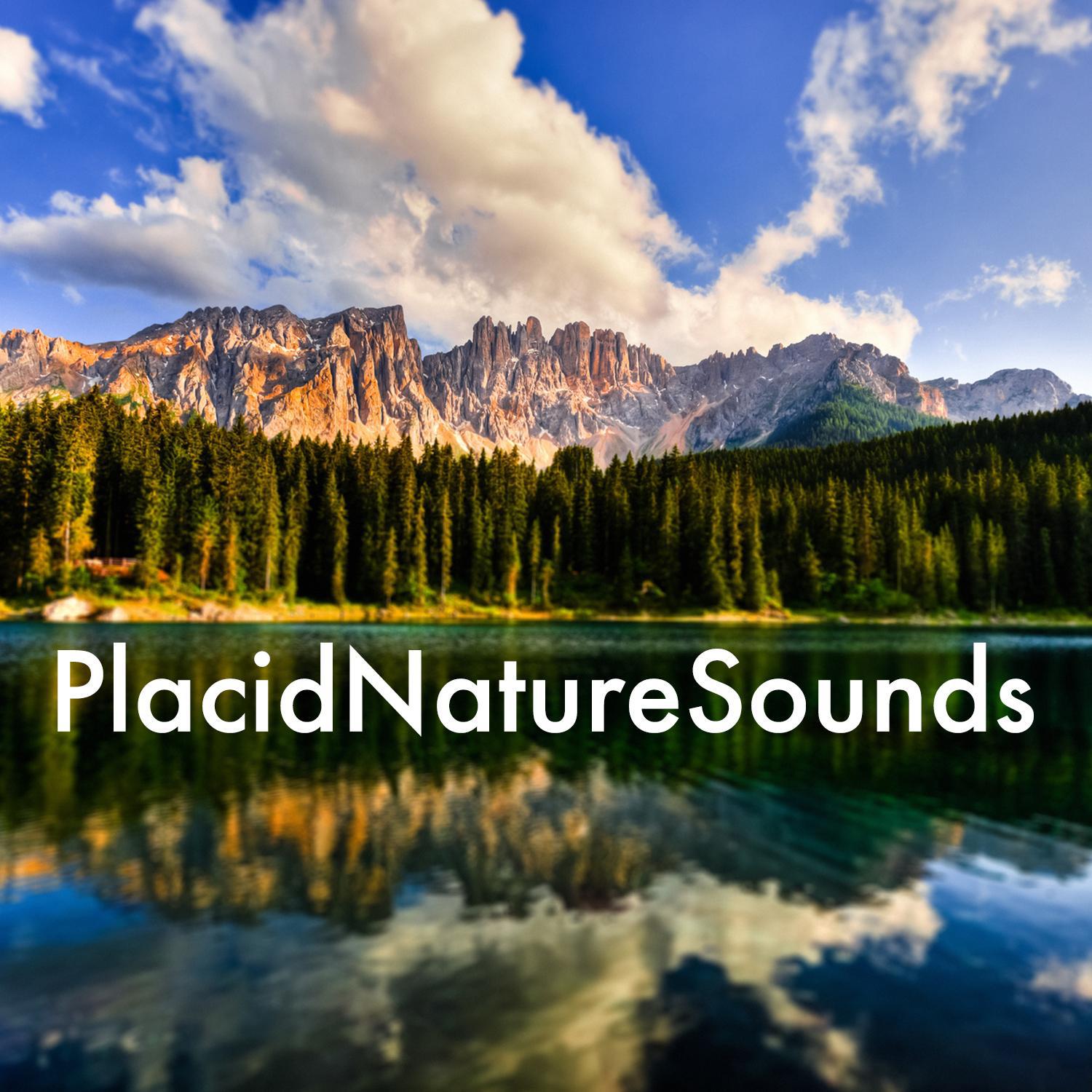 Placid Nature Sounds